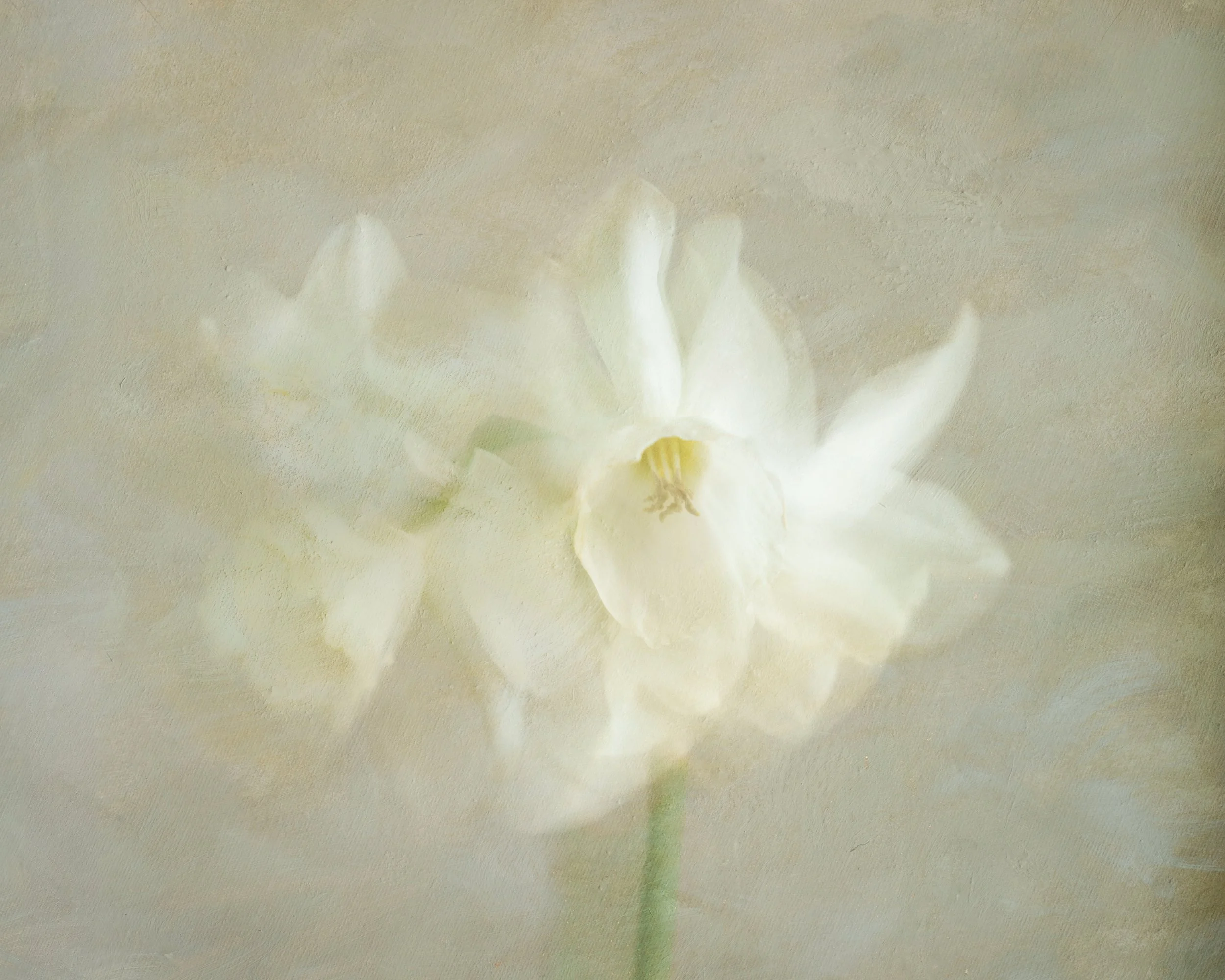 20260410-_DSC5867-Edit.jpg