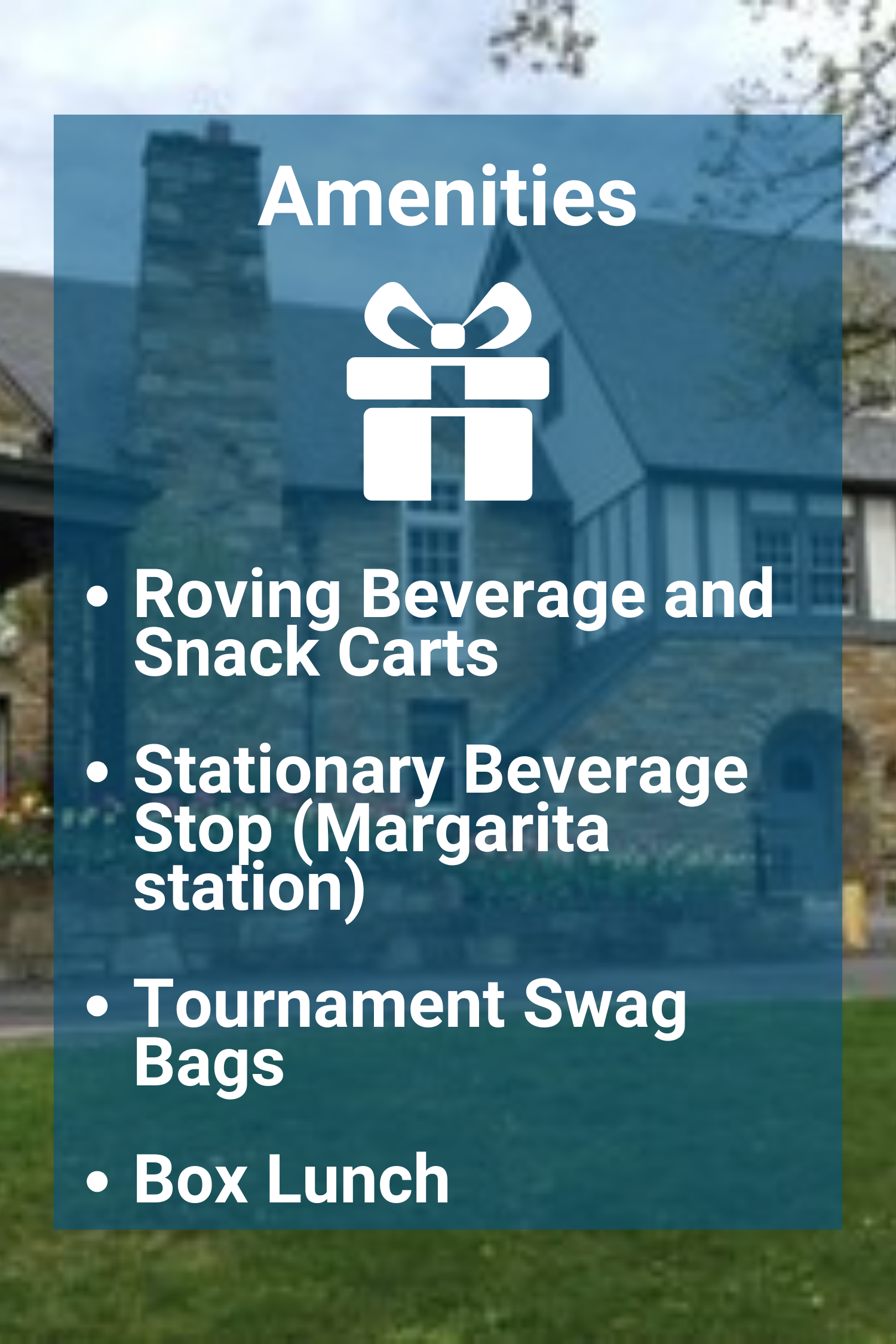 Updated AMENITIES graphic.png