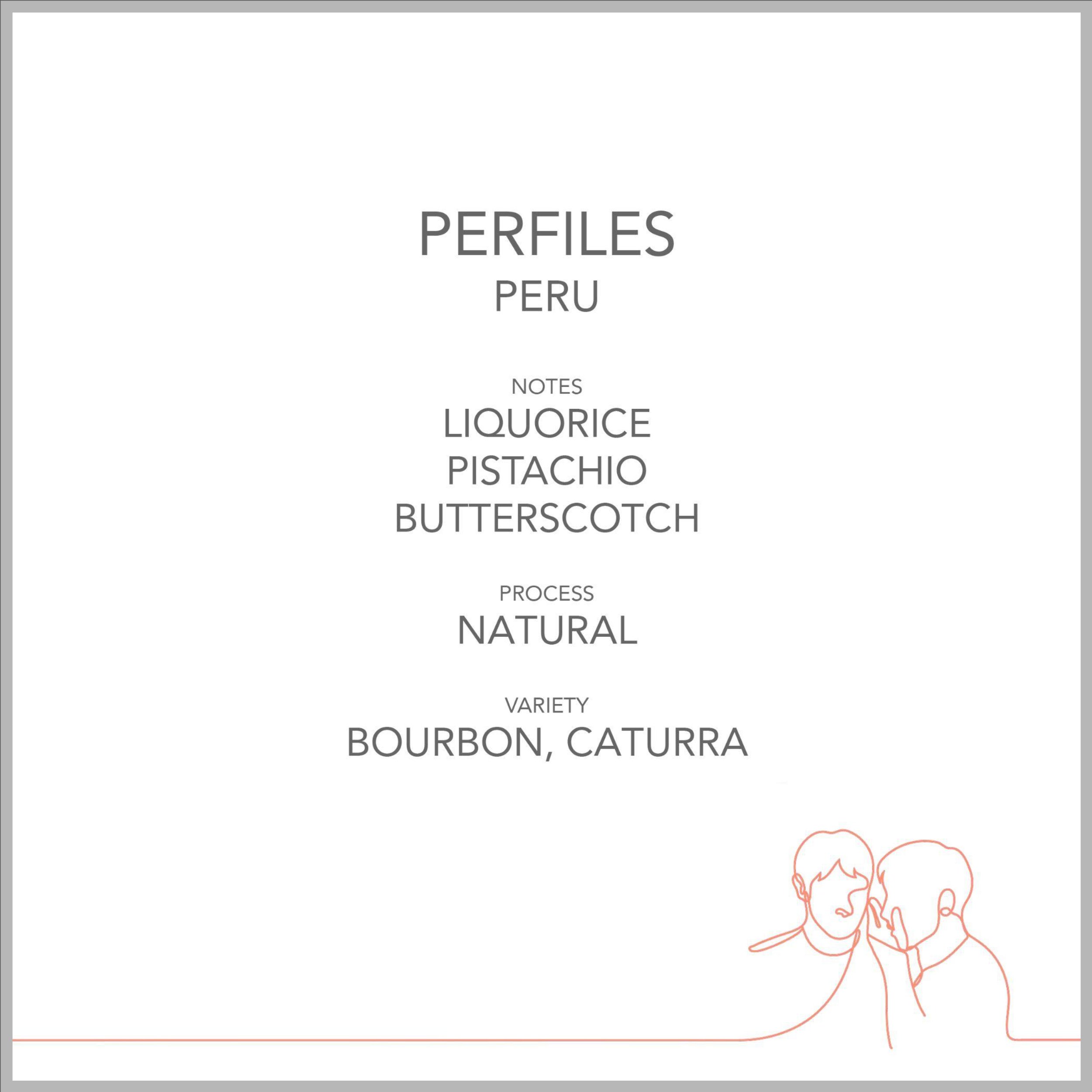 perfiles website thumbnail (border).jpg