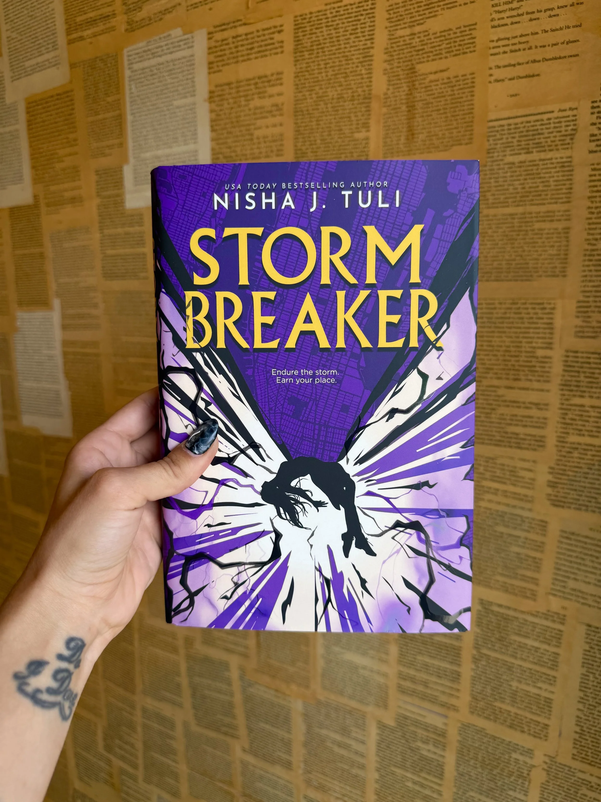 Storm Breaker - Nisha J. Tuli