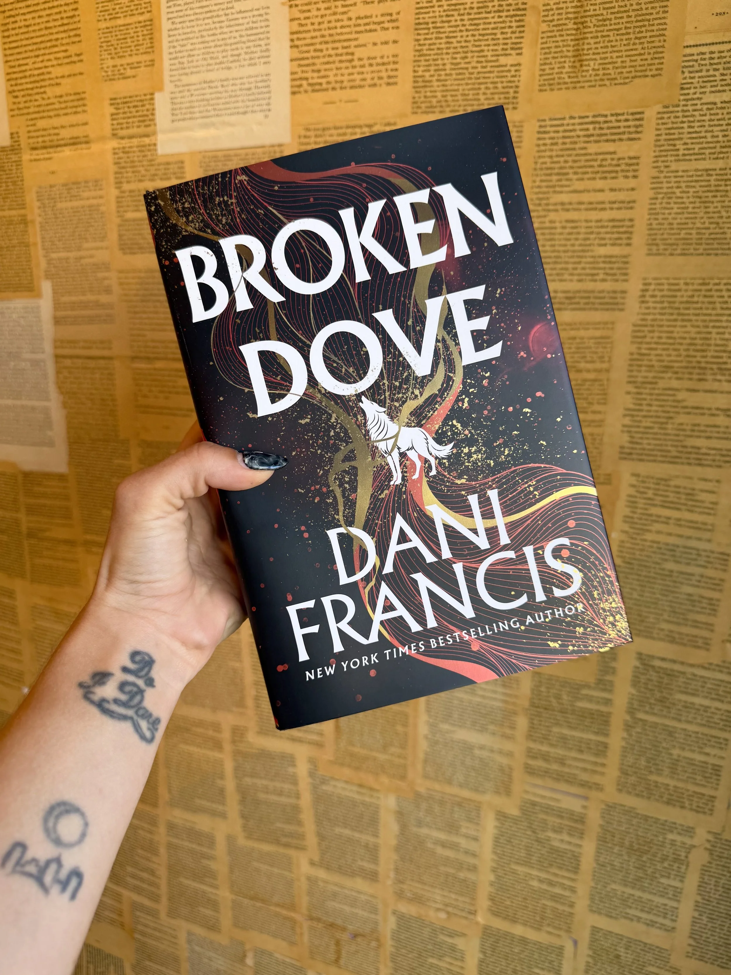 Broken Dove - Dani Francis