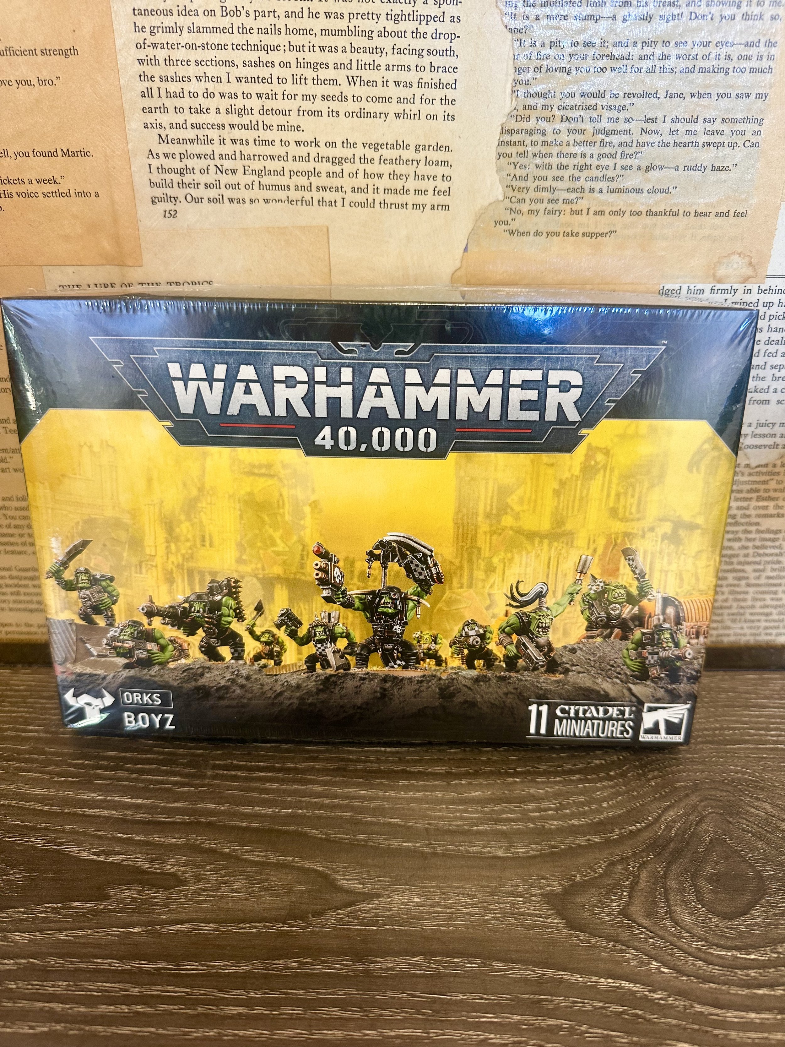 Orks: Boyz