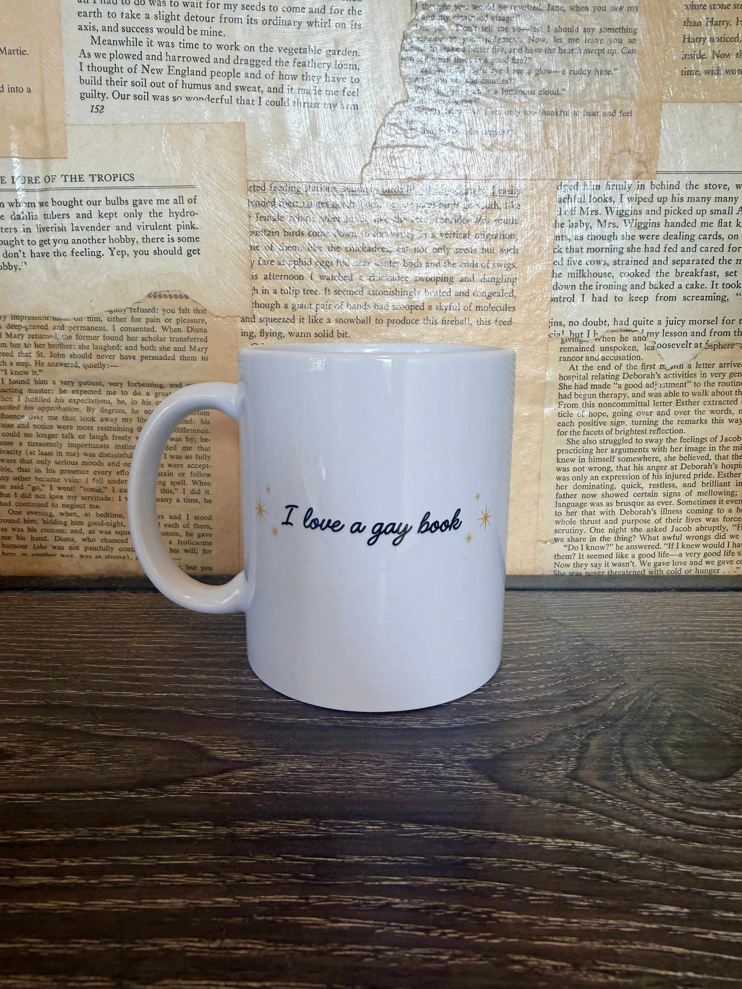 I Love A Gay Book Mug - Books & BS Podcast Merch