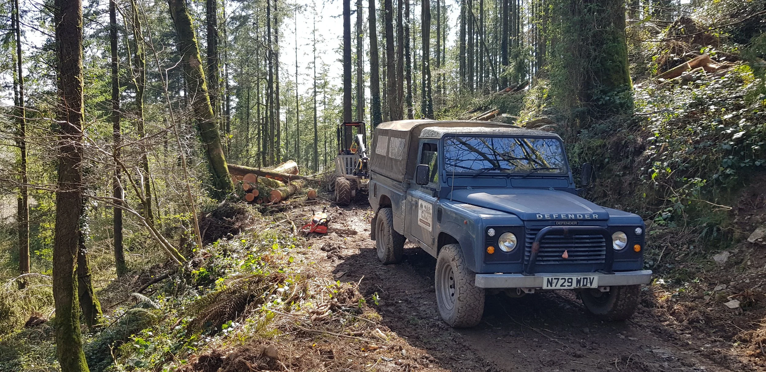 Suppling local Sawmill