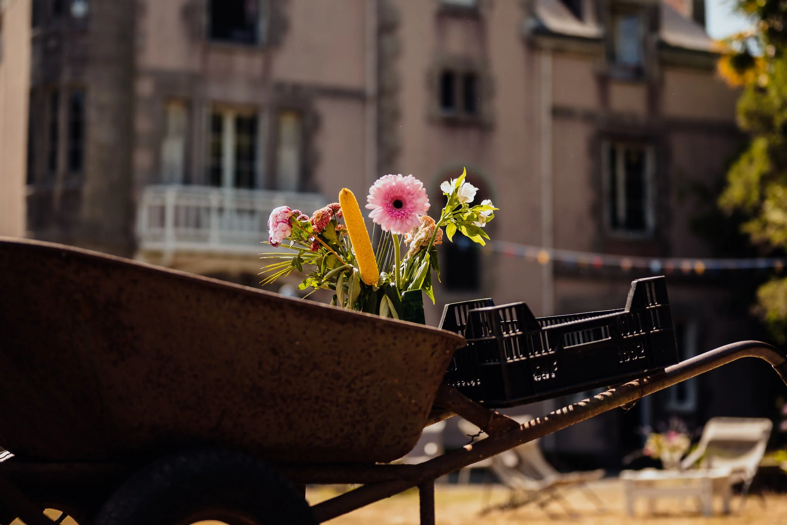A rusted wheelbarrow filled with a small bouquet of pink and white flowers, with a yellow flower stick, set against a background of an old building with trees and a bench.