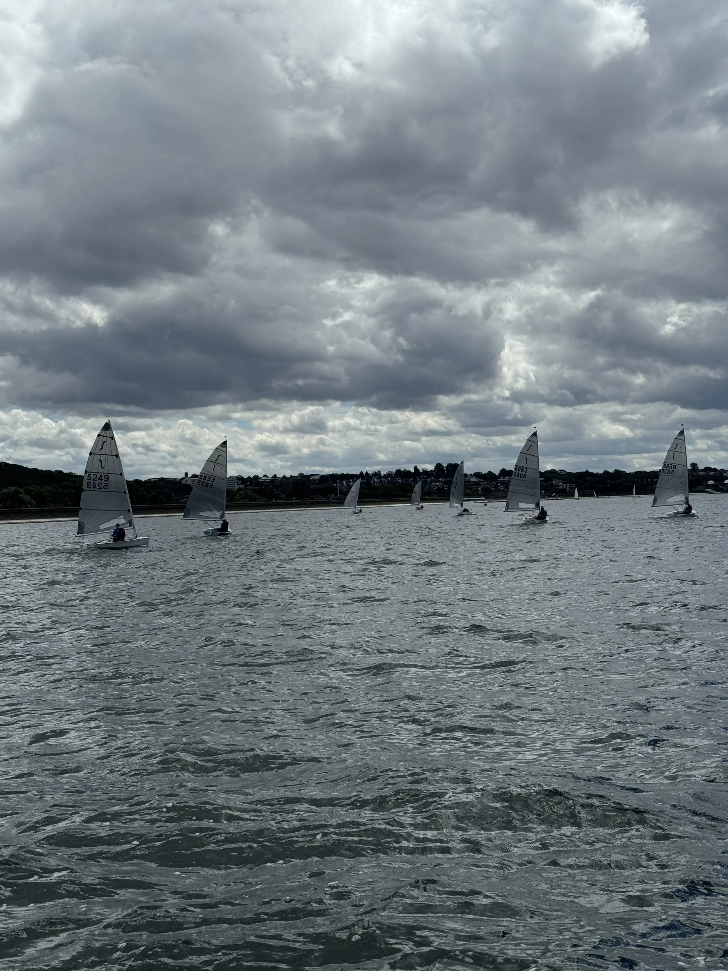 IMG_8477.jpeg