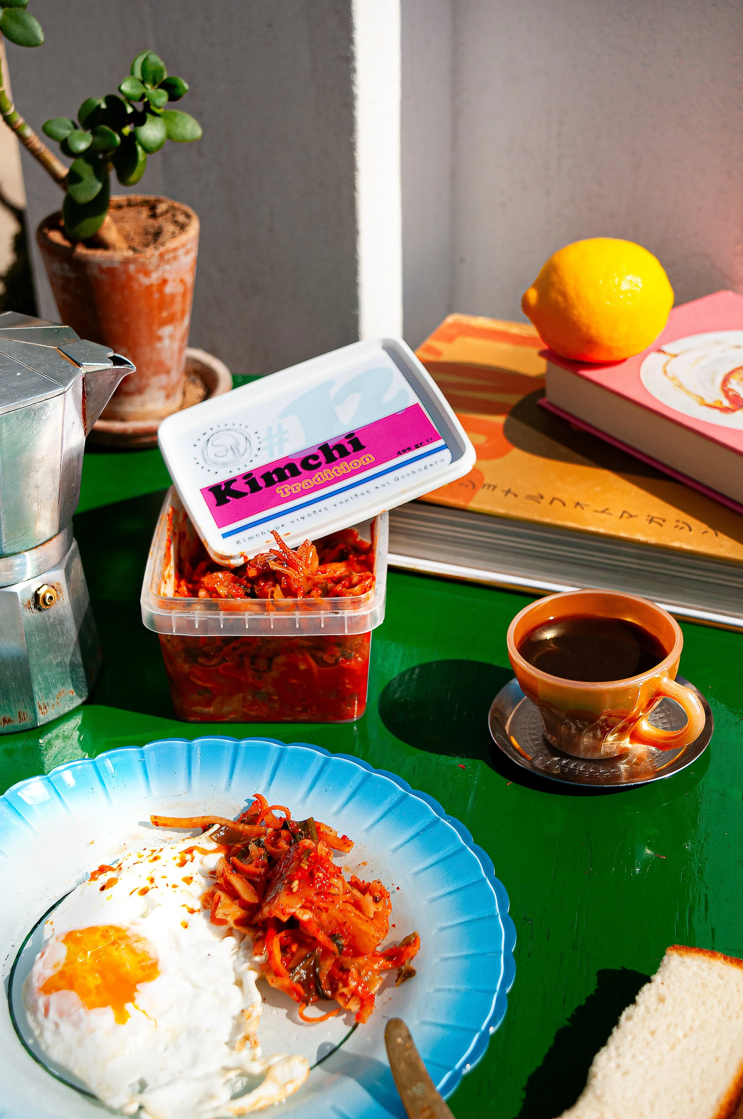 symbiosis fermented foods