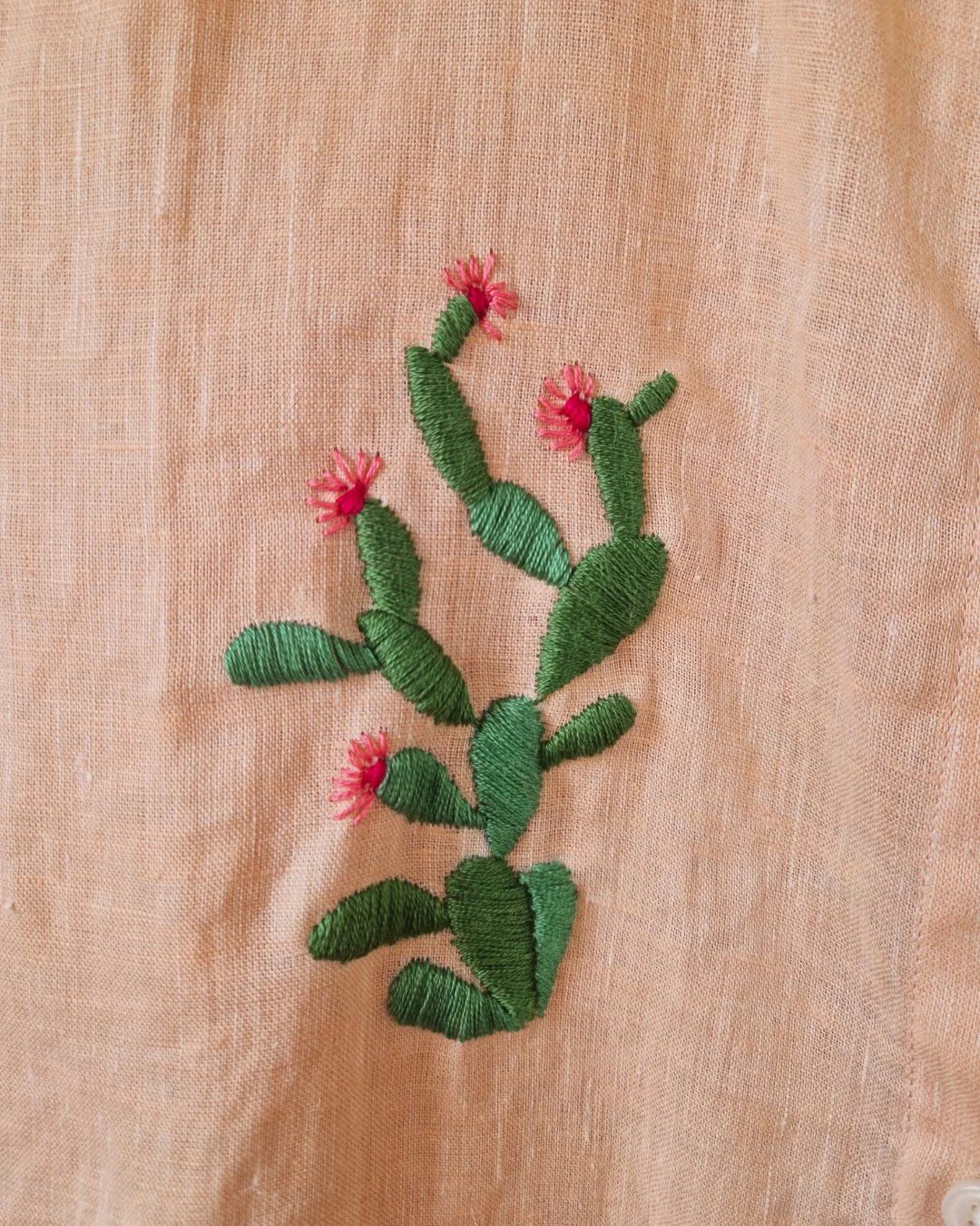 detail cactus.jpg
