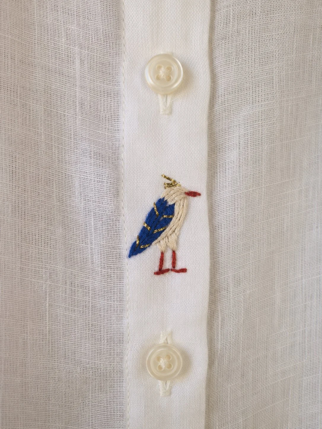 oiseau.jpg