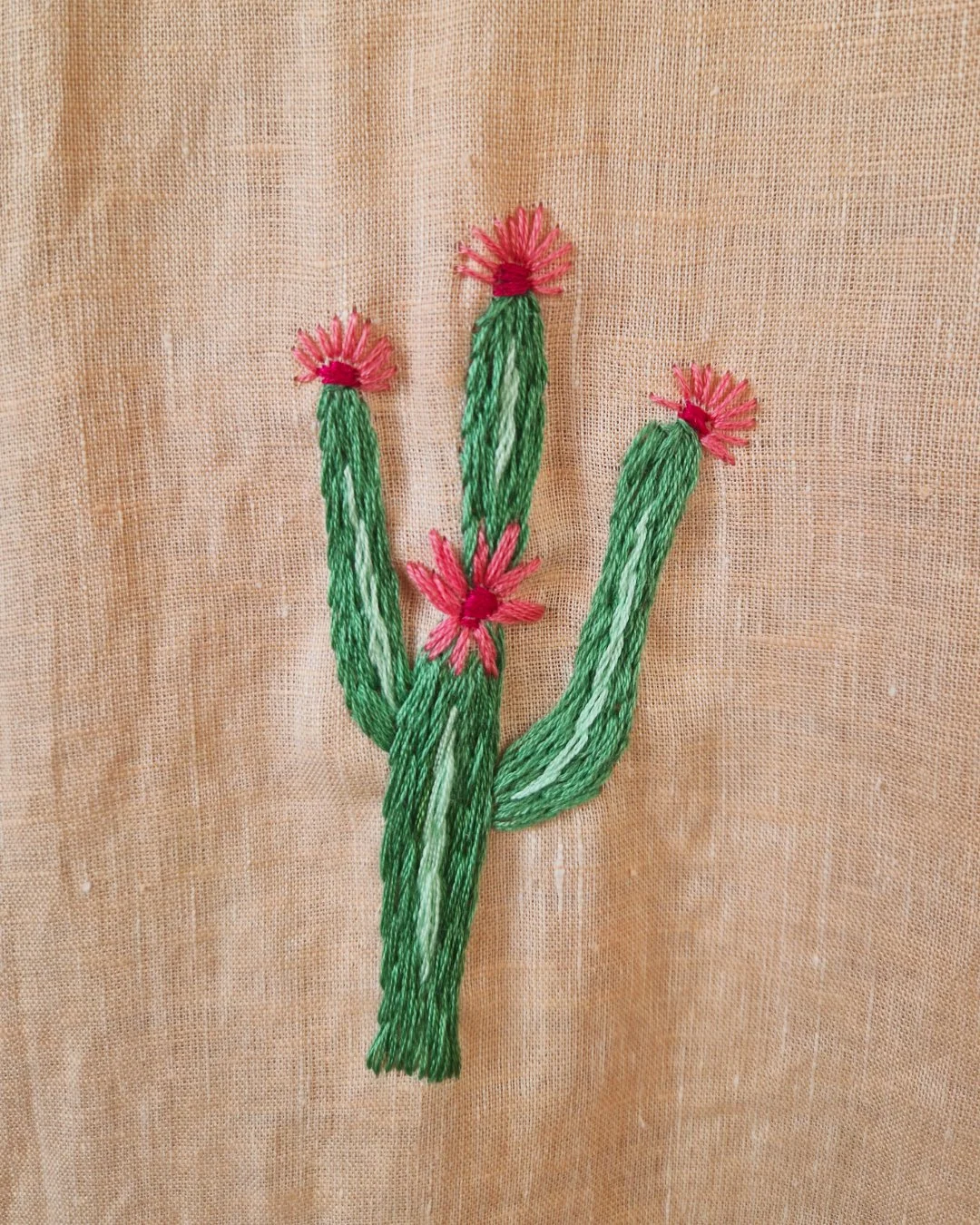 detail cactus 2.jpg