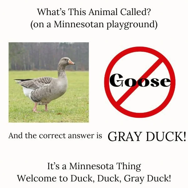 Rochester MN. Real Estate website Sandra Reid Remax. Fun things to know about Rochester MN guide