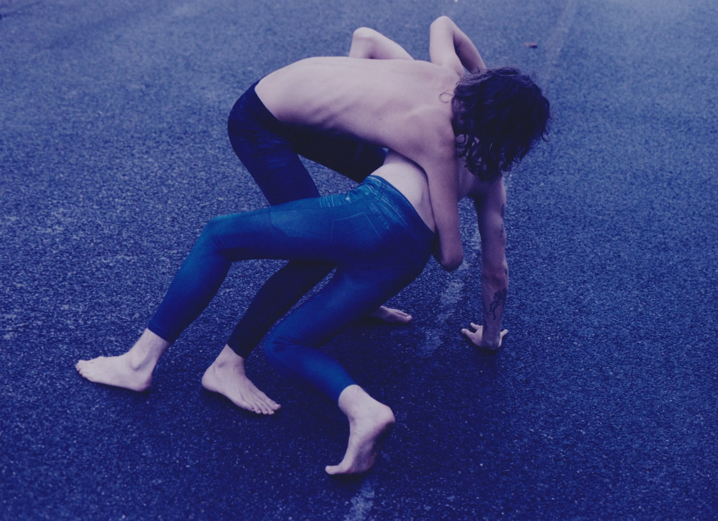 17celia croft - cene.jpg