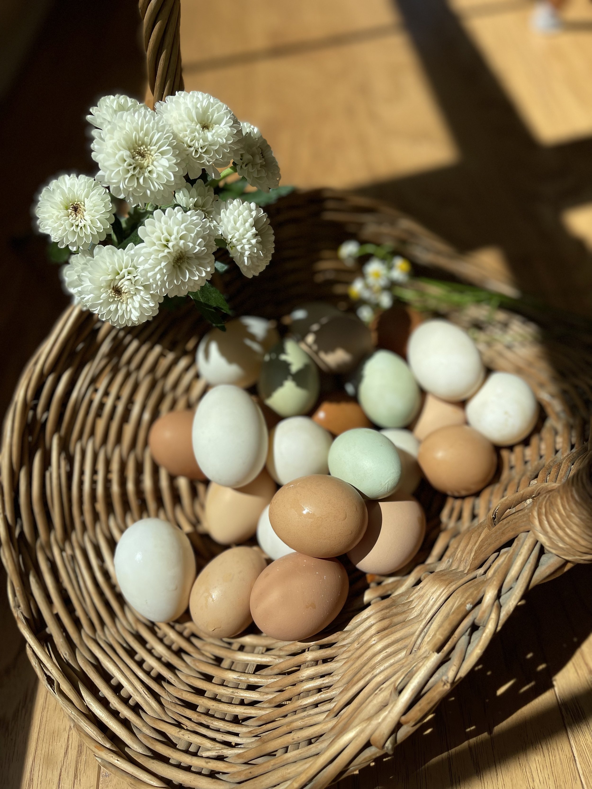 Homeschool Farm Day