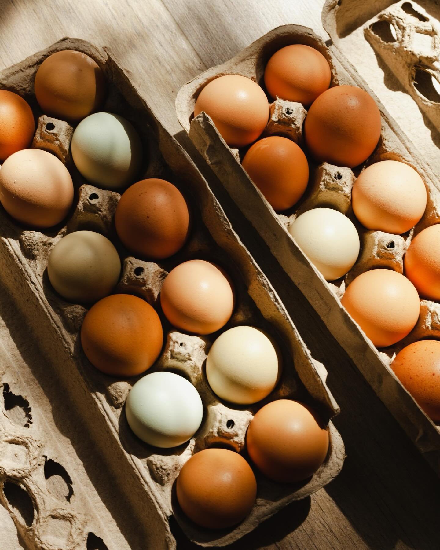 We are in peak egg season. If you&rsquo;d like to get on the customer list for a weekly egg pick up, please DM me. Pick up will be either Monday or Saturday all day, self serve at the farm. Flower bouquet add ons always an option, duck eggs available