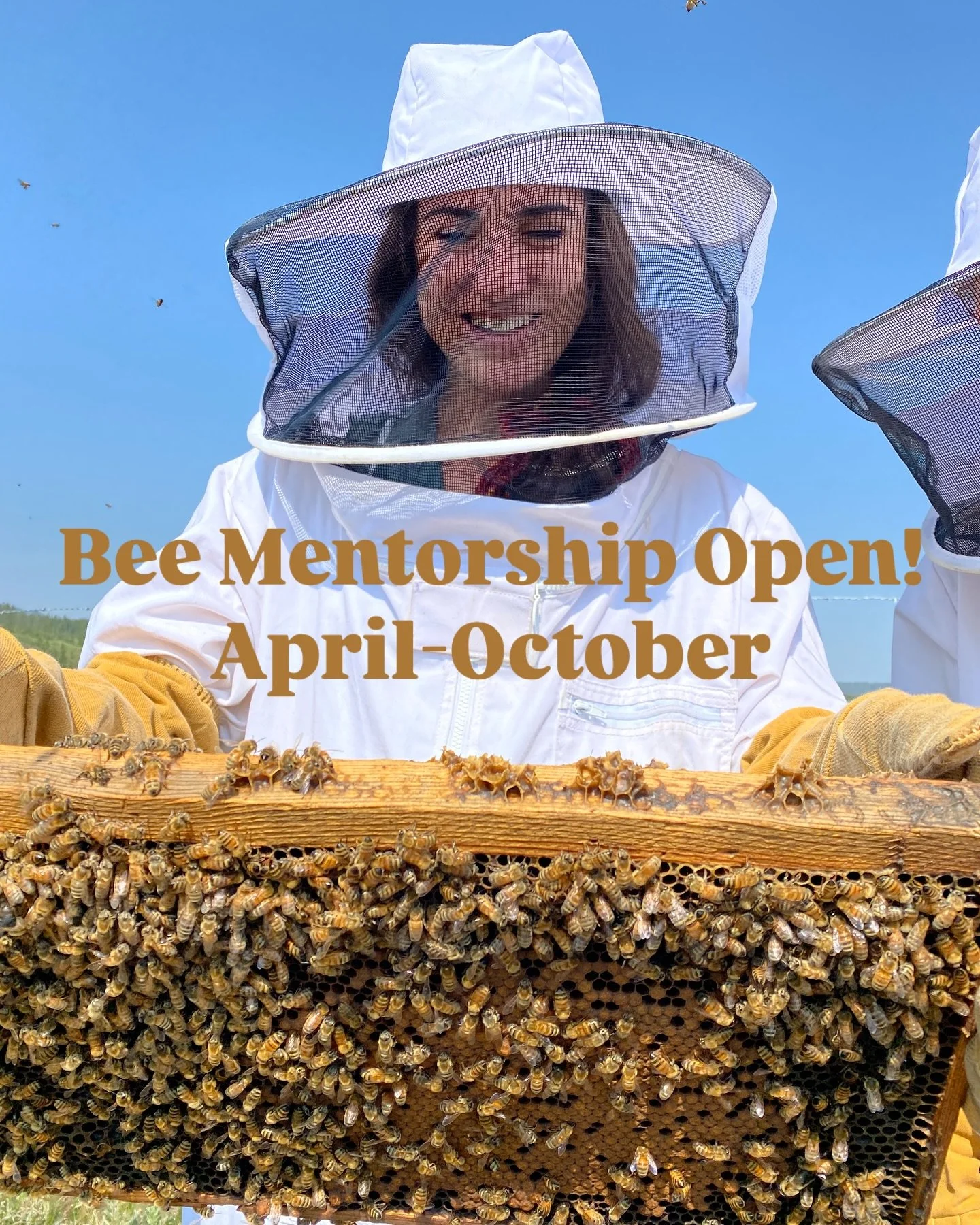 Curious about raising bees?? Come and learn beside me on the farm this season! The pollen is thick and the flow is fast approaching! 

Details on the bee mentorship:

🐝 meet 2x per month from April-October at Storybook Farm 

🍯 learn the ins and ou