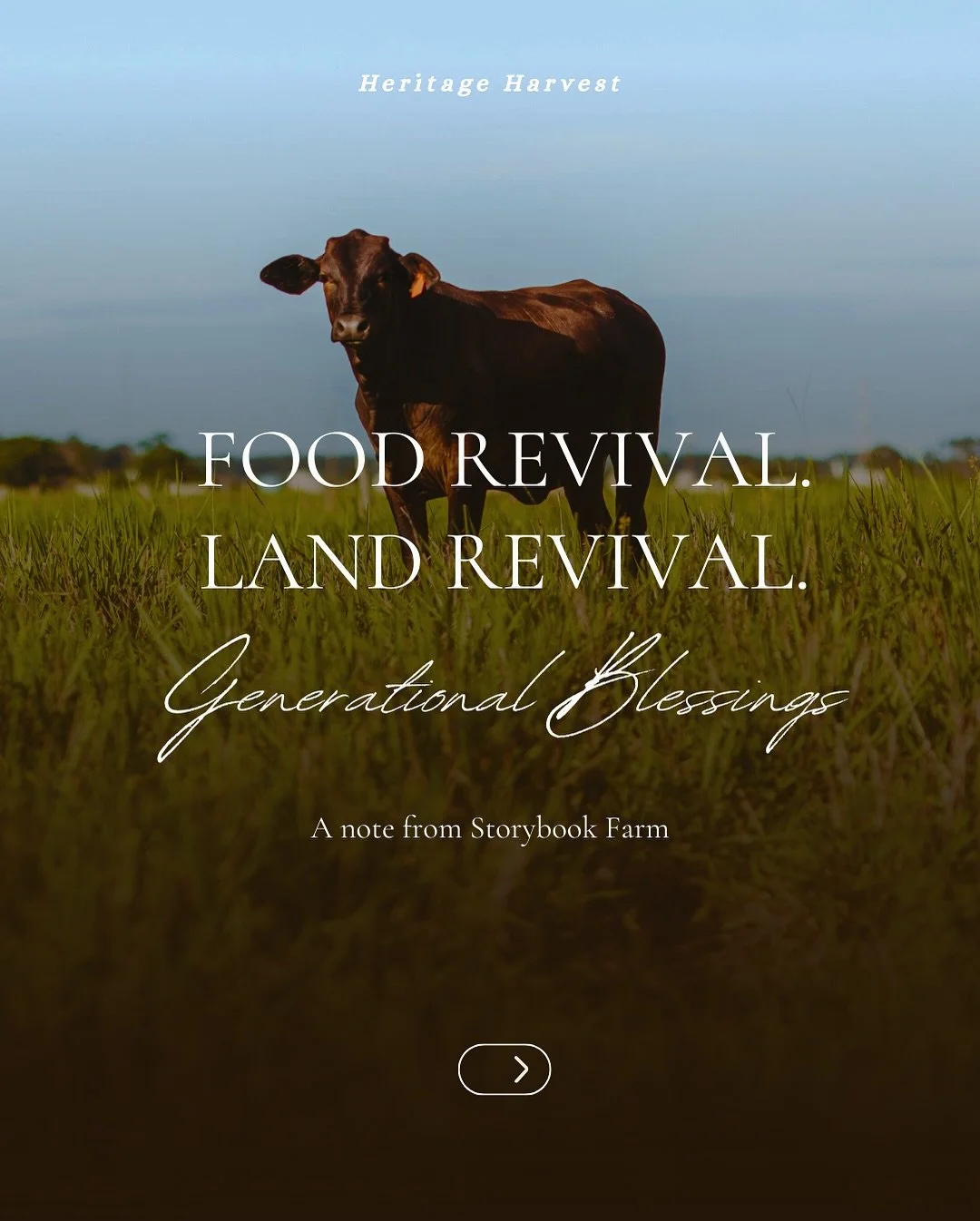 🕊️The day has finally come. We are stepping out in faith that our hearts mirror many of yours in our longing for honest, clean and pure food for our children and families. 

🌾We&rsquo;re tired of questioning the nutritional value of our food- or wo