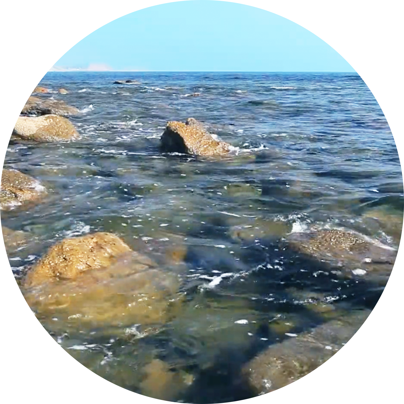 Water