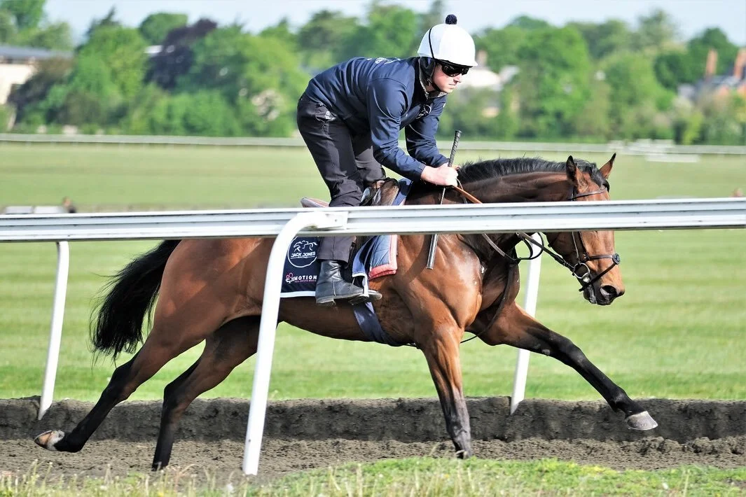 Chestnut Tree Stables — Jack Jones Racing