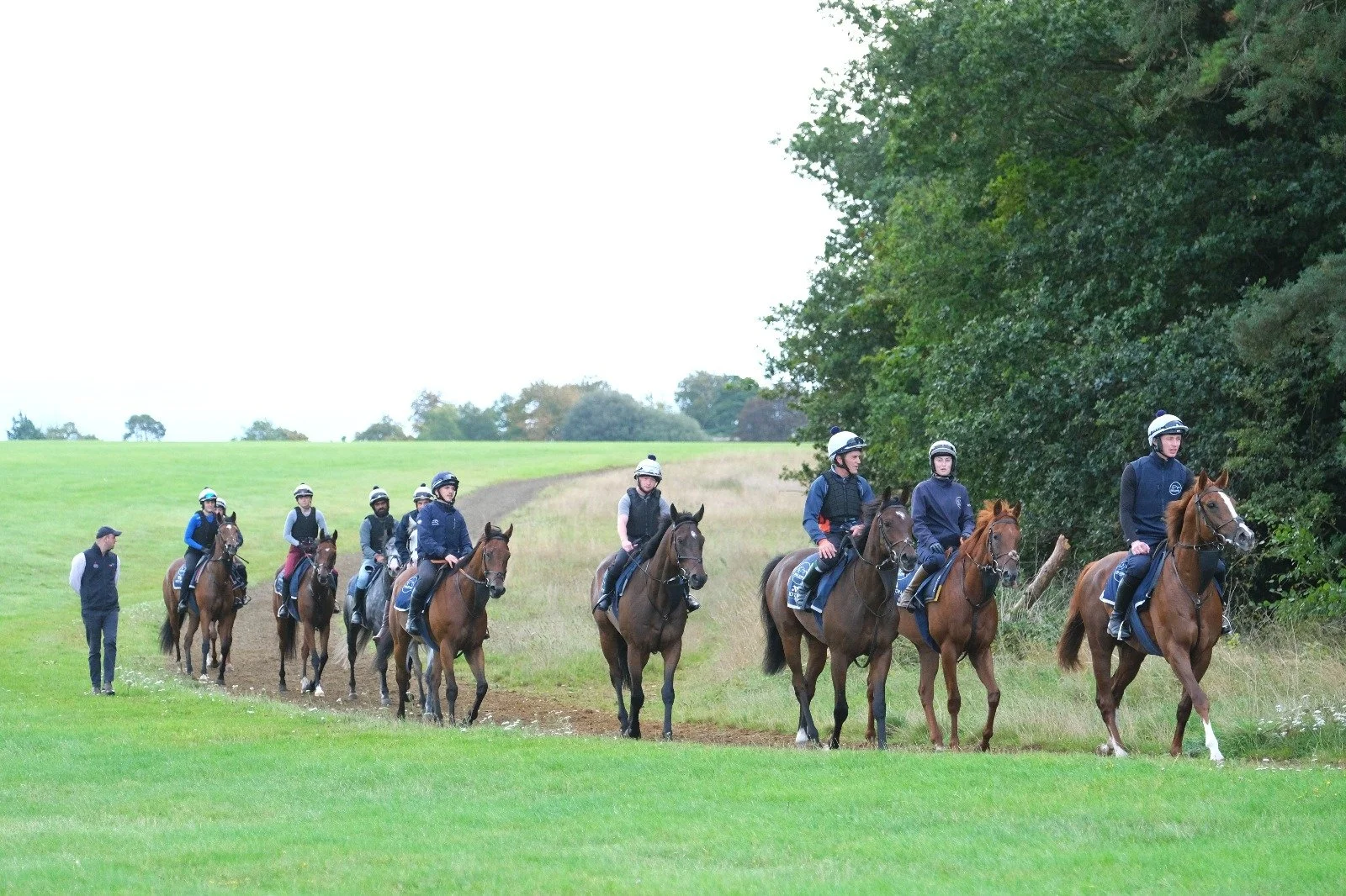 Horses In Training — Jack Jones Racing