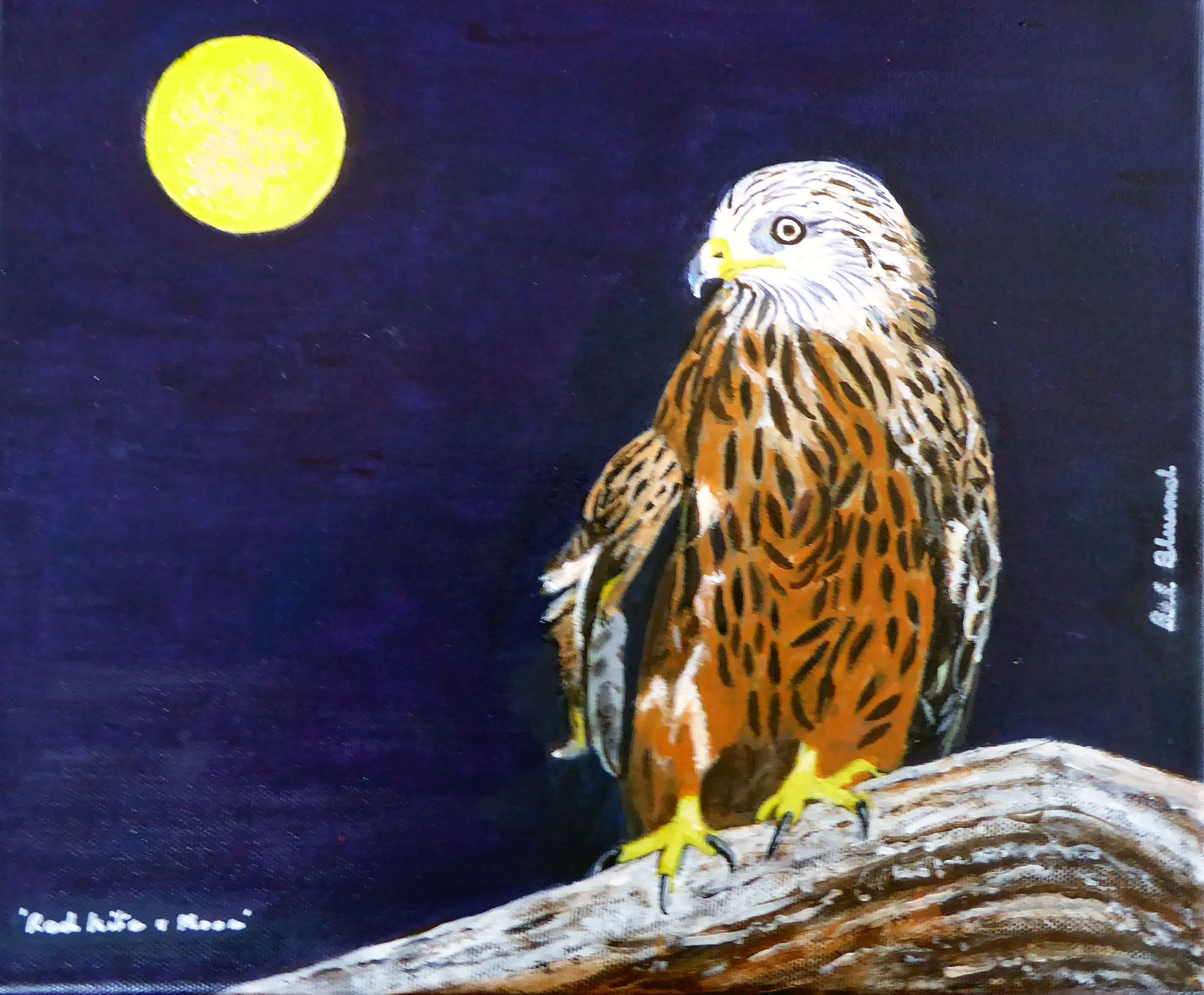 Red kite and Moon.jpg