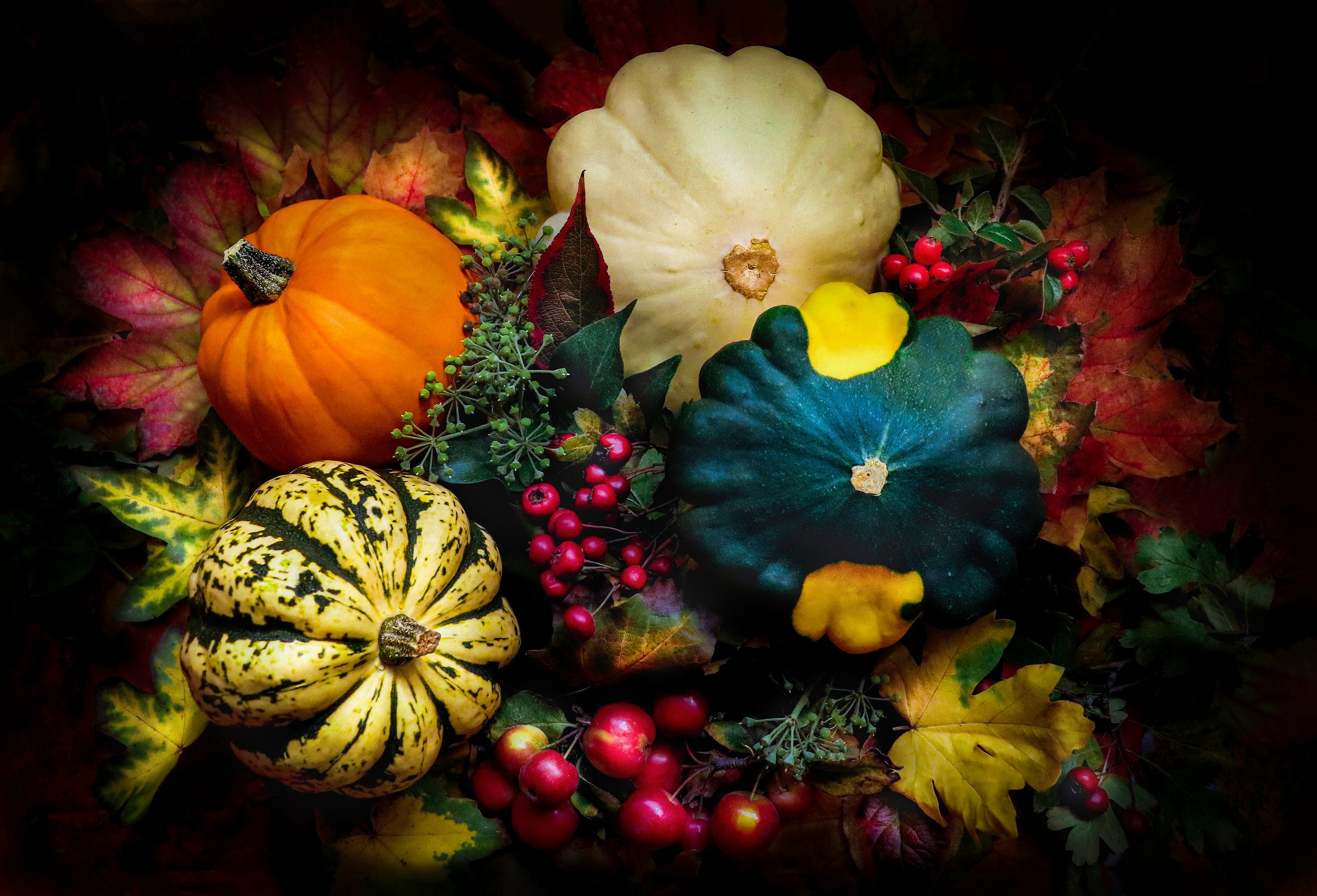 A3 Autumn Harvest-300mpxl copy.jpg