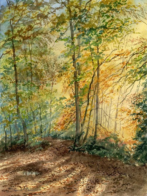 image1 (10).jpeg