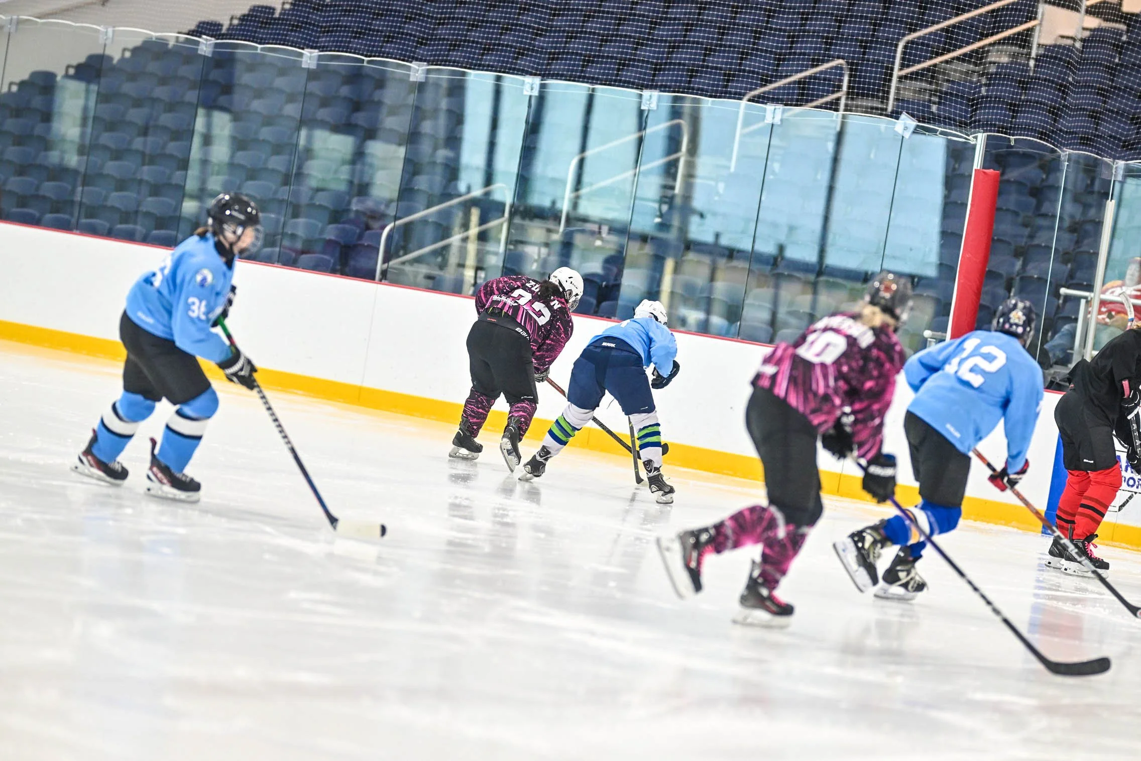 Rink Pony Club vs Jackalopes