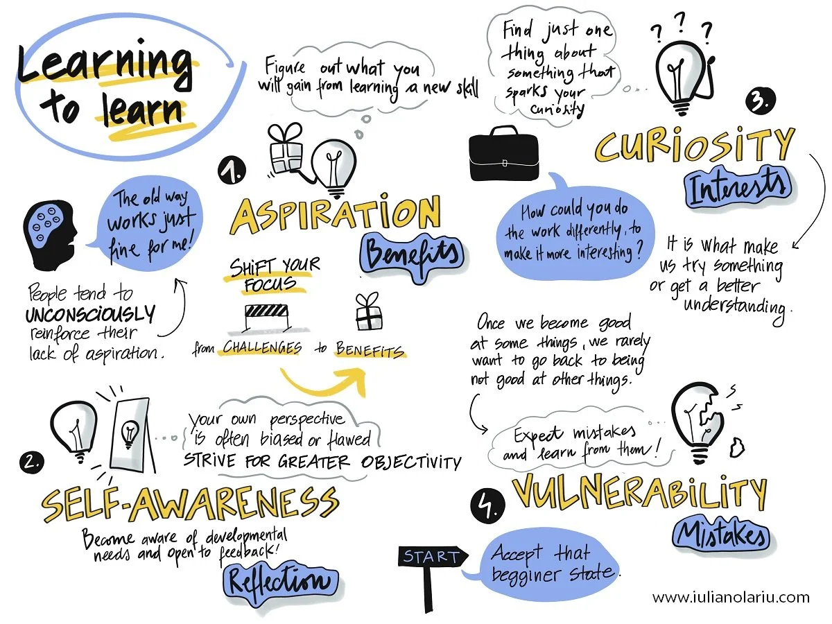 Learning to Learn — Iulian Olariu