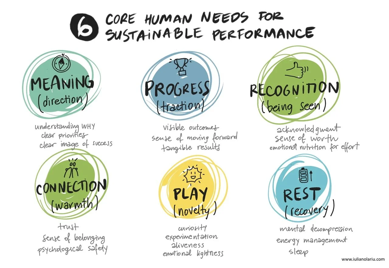 6 Core Human Needs for Sustainable Performance
