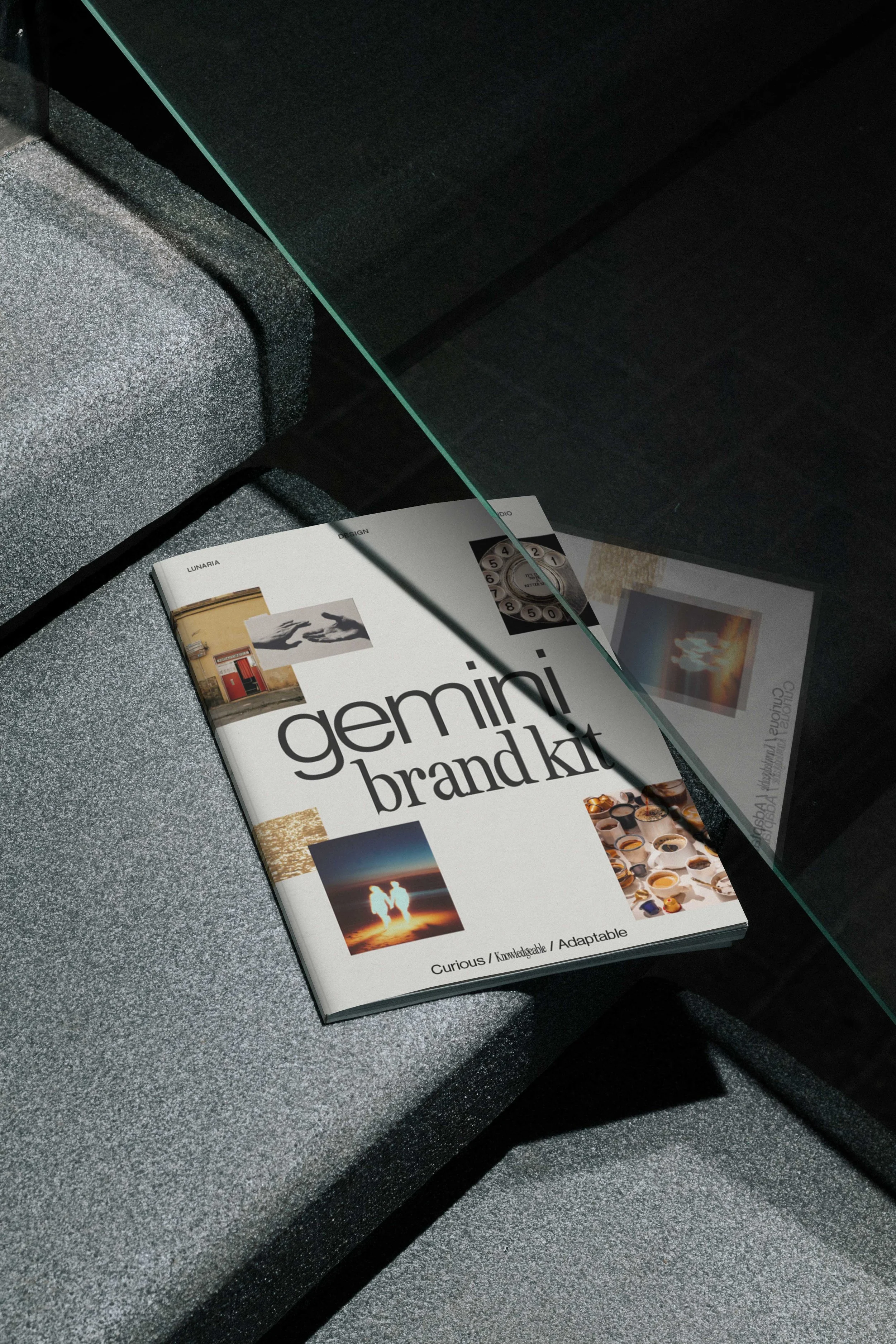 CN_013_GEMINI.jpg