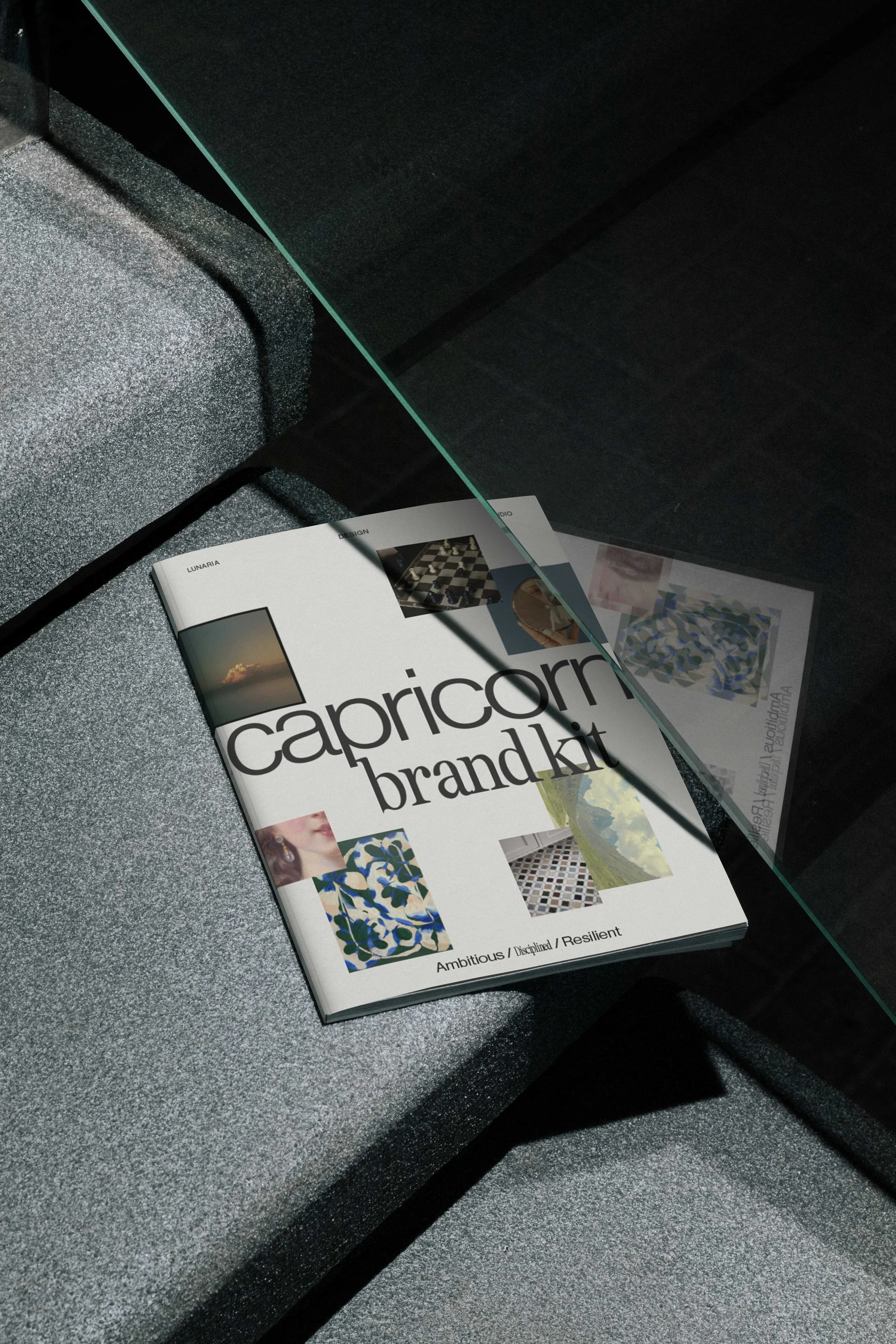 CN_013_CAPRICORN.jpg