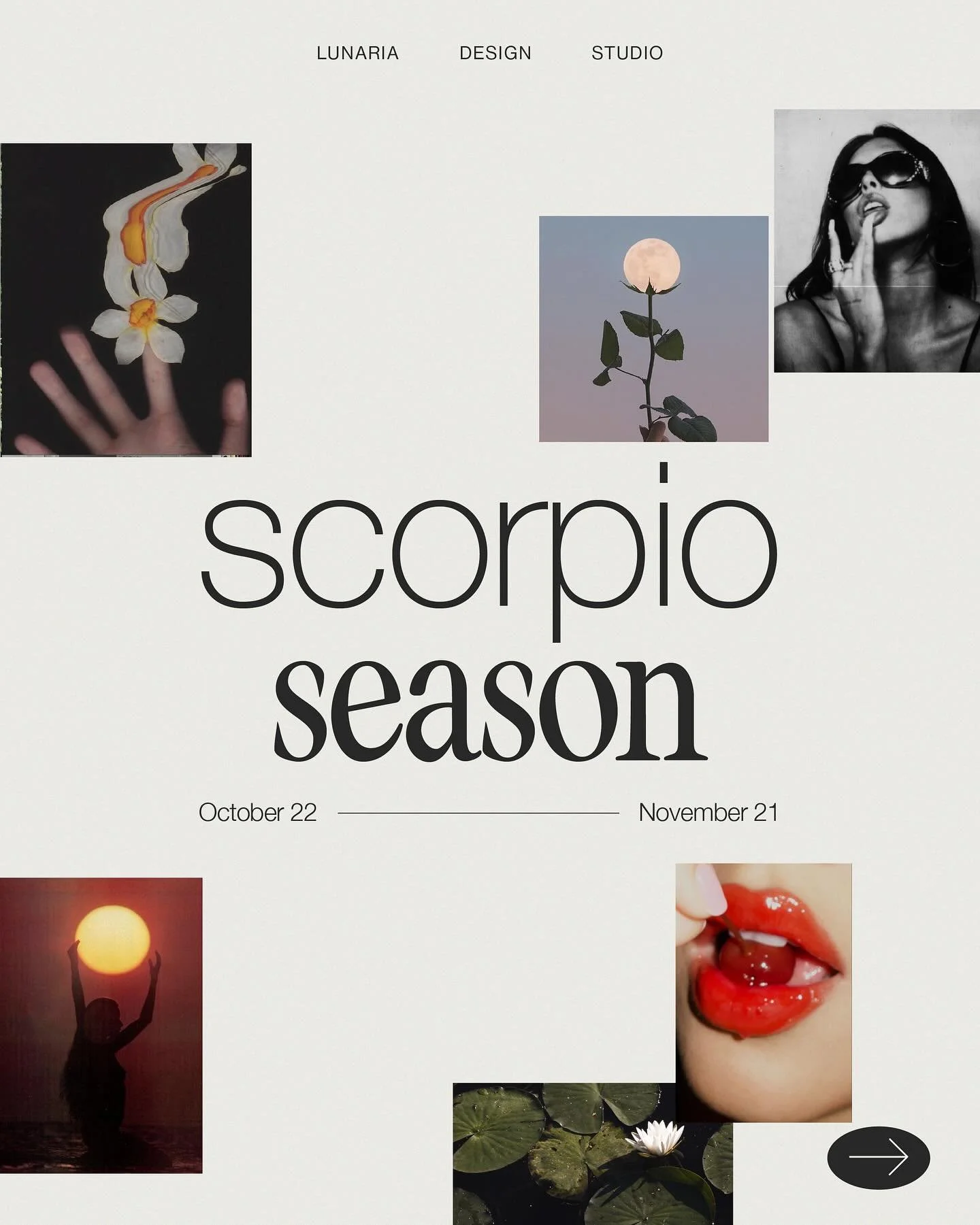 SCORPIO SEASON IS HERE ♏️

The era of transformation, truth, and creative rebirth.

Scorpio energy invites you to refine, release, and rise. This season asks for courage &mdash; to shed what no longer fits, to let your brand (and self) evolve into it