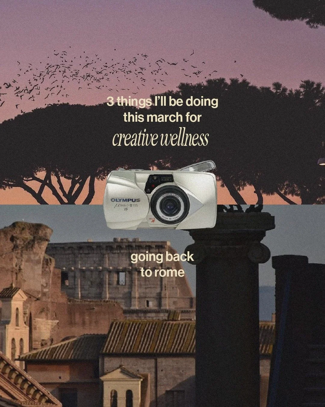 March is for tending my inner garden, returning to places that inspire me, and making art with zero agenda 🌹