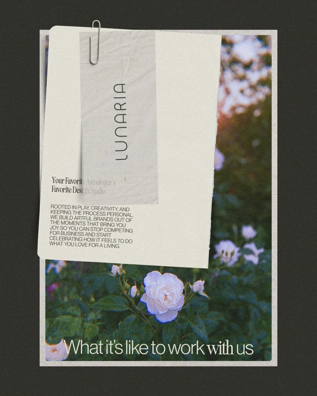 Magic is always just around the corner. And so is the next era of your brand.

Let's chat!