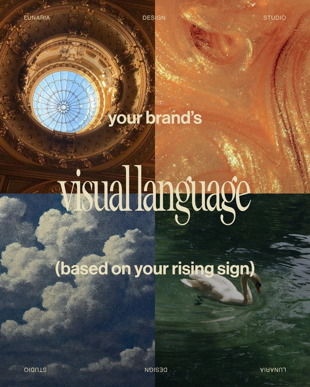 Most people build their visual identity by looking sideways at what's working for everyone else in their industry. 

But your Ascendant (or Rising Sign) already tells you how you're perceived without even uttering a word. 

Your Ascendant represents 