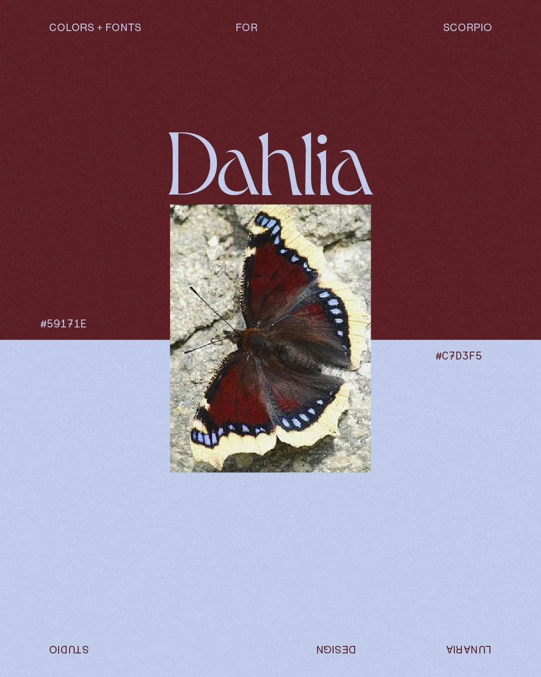Colors + fonts for Scorpio season 🦂

Scorpio rules the 8th House, the house of transformation, death and rebirth, shared resources and the occult. So this season&rsquo;s palettes go a little darker and a little moodier.

001. Dahlia with oxblood (th