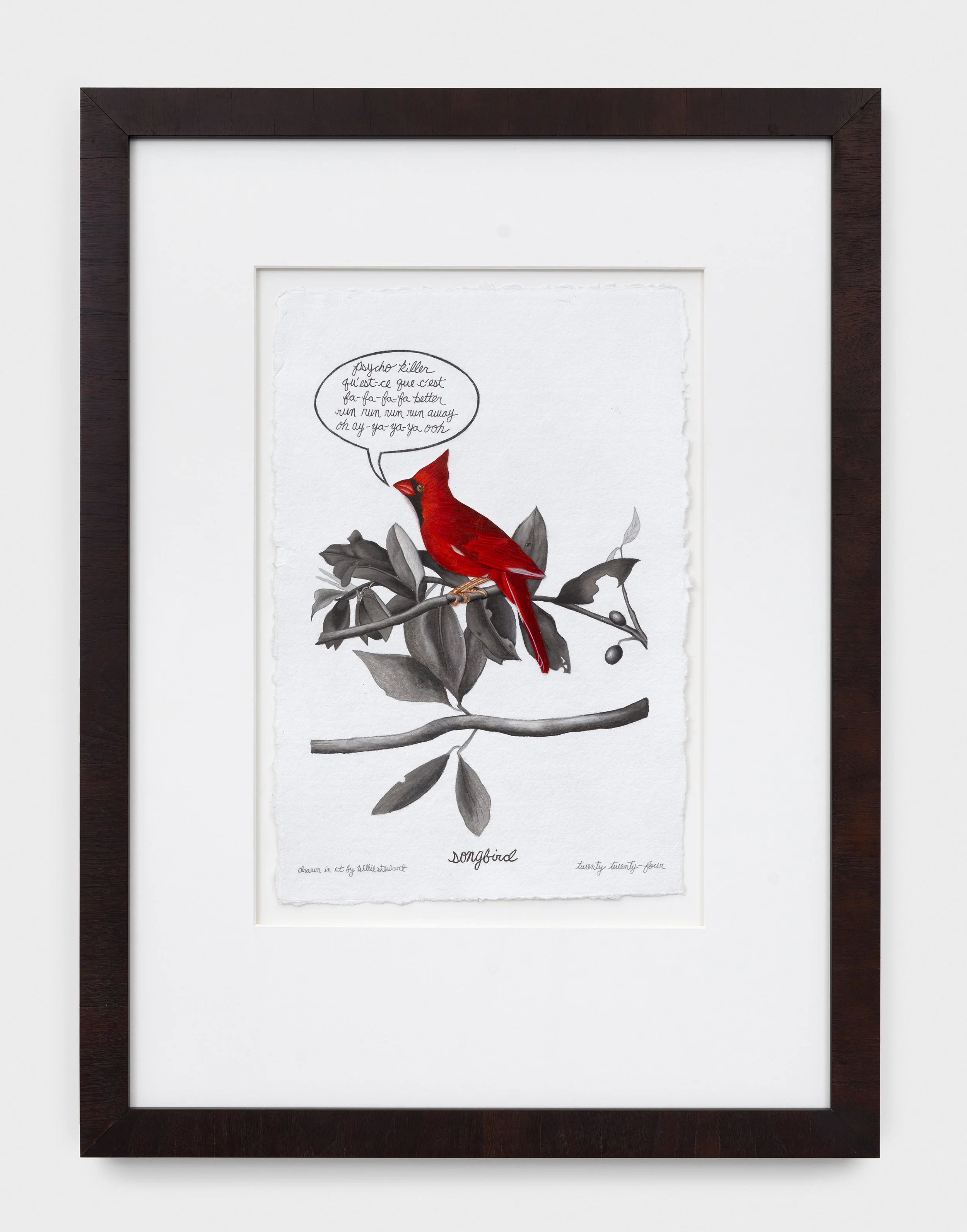 Willie Stewart_Cardinal Grosbeak_2024.jpg