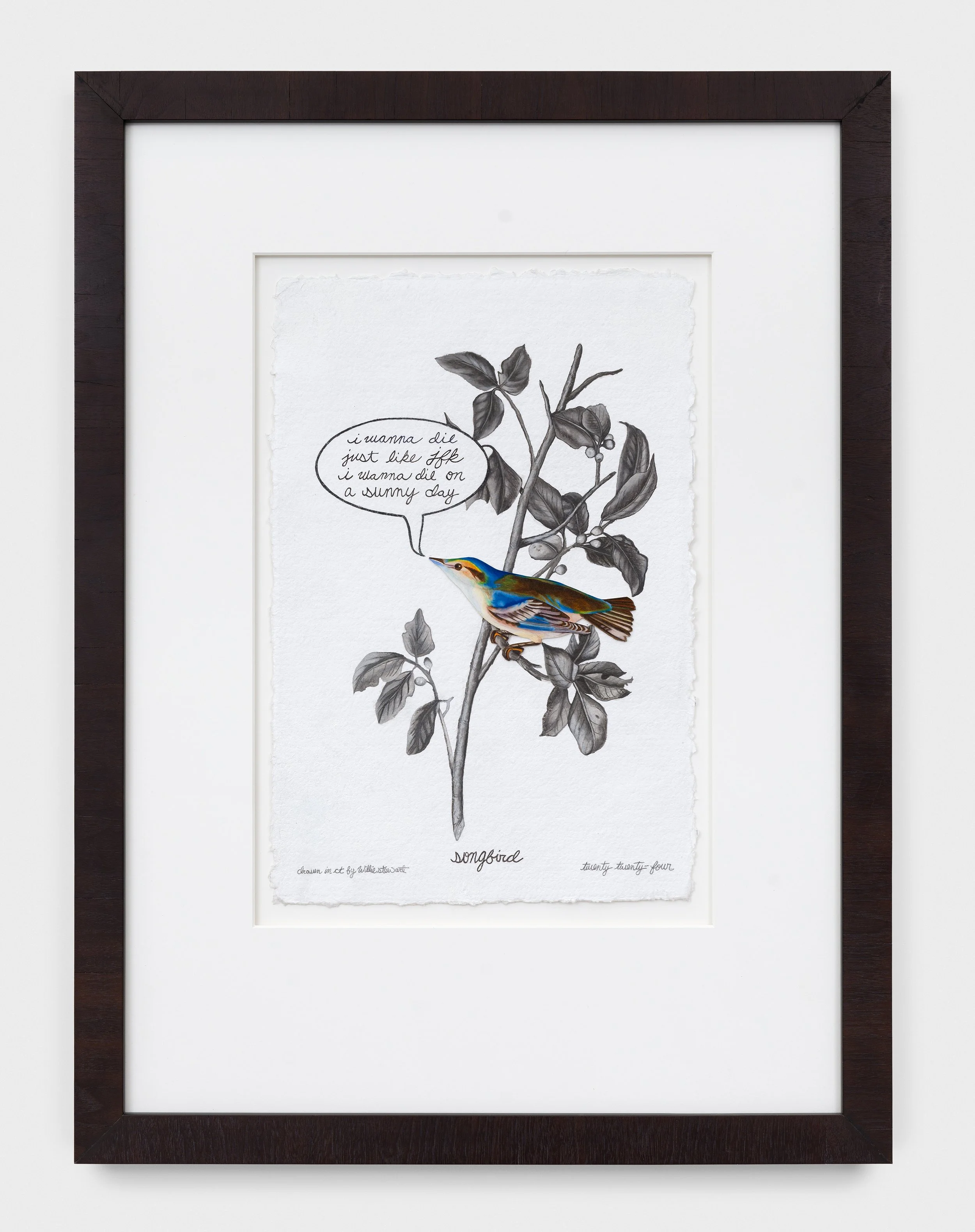 Willie Stewart_Tennessee Bluebird_2024.jpg