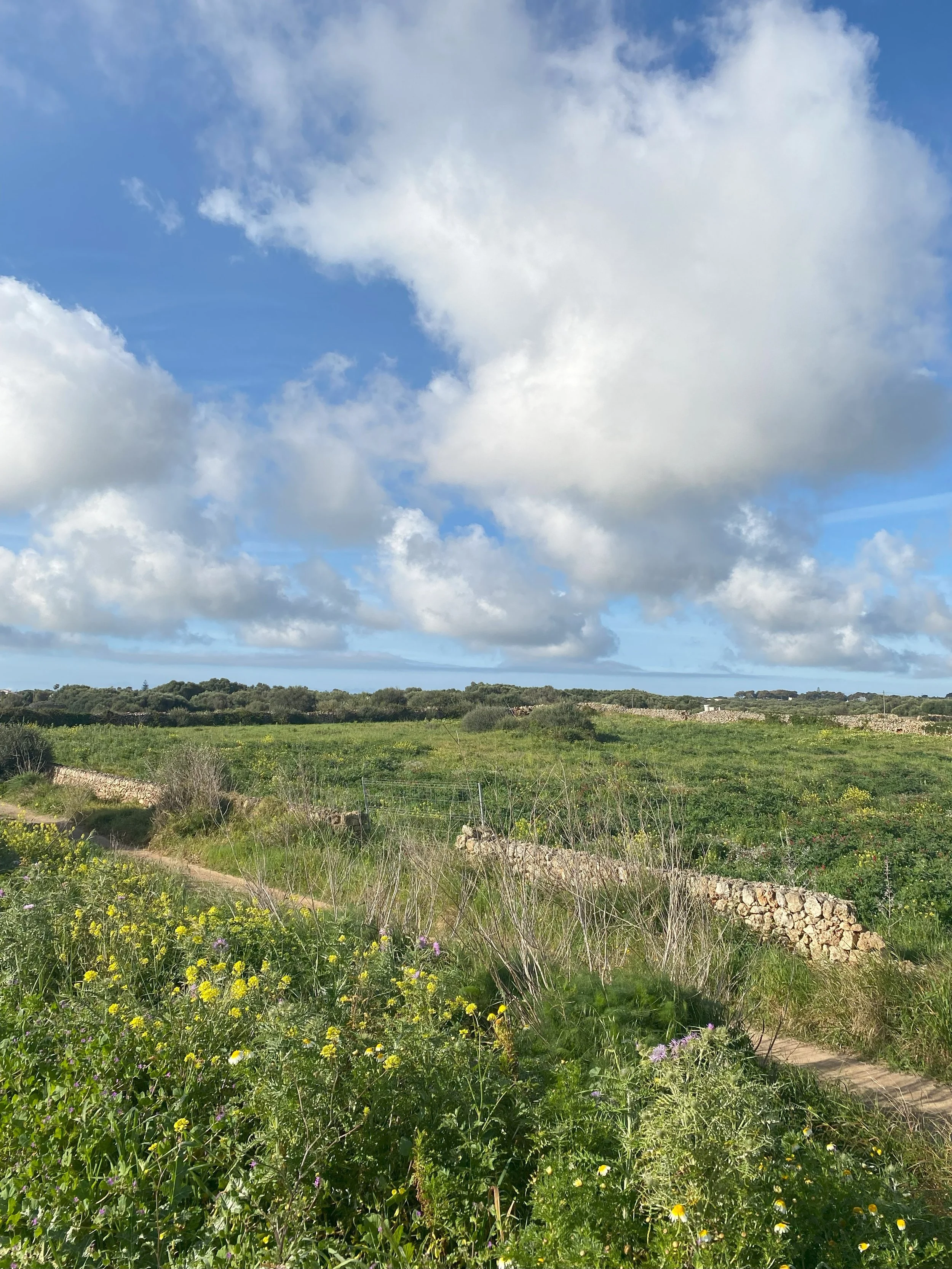Road to San Lluis.jpg