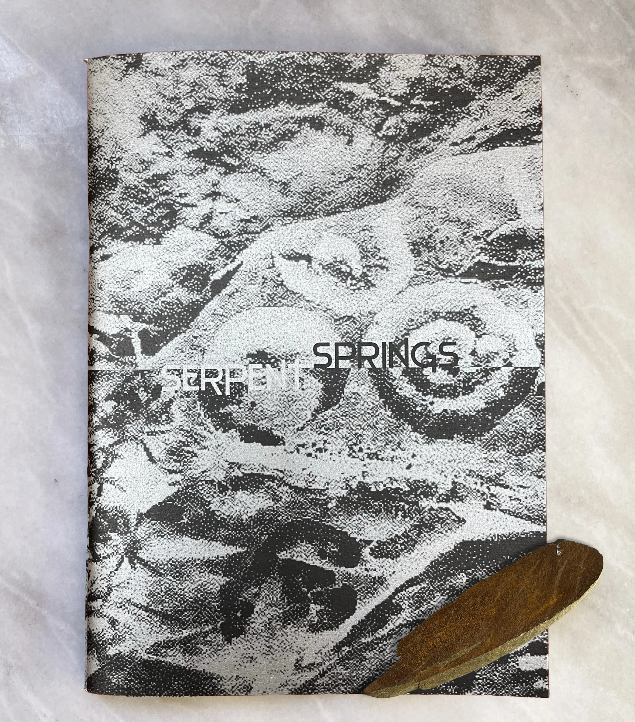 Equinox Zine: Serpent Springs