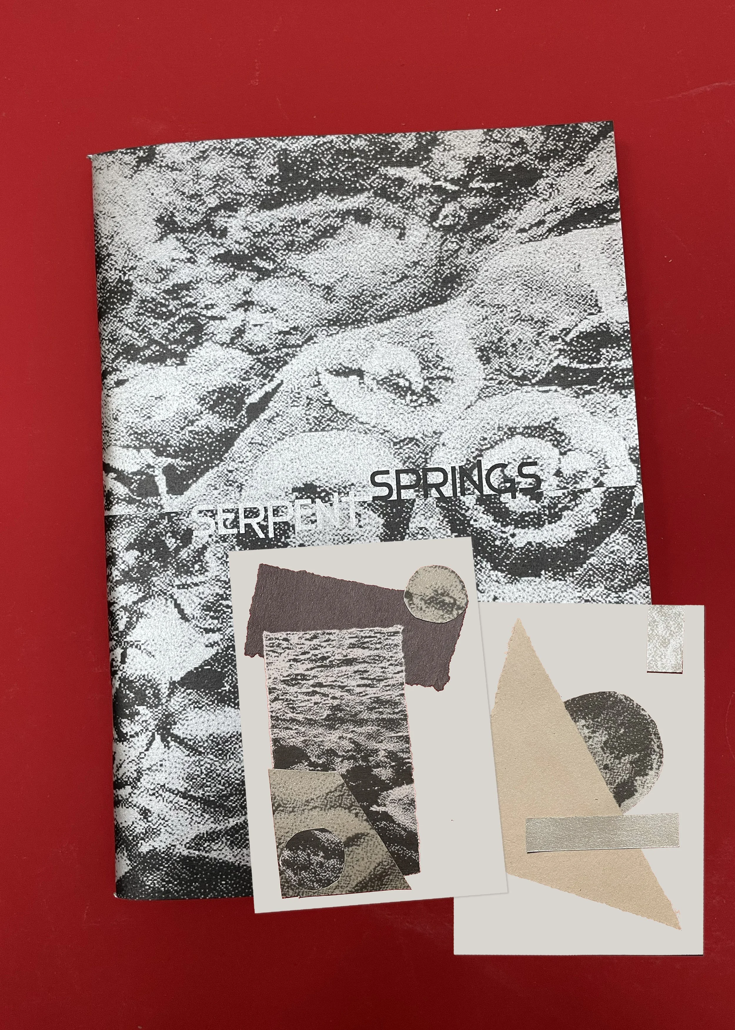 serpent-springs-zine-11.jpg