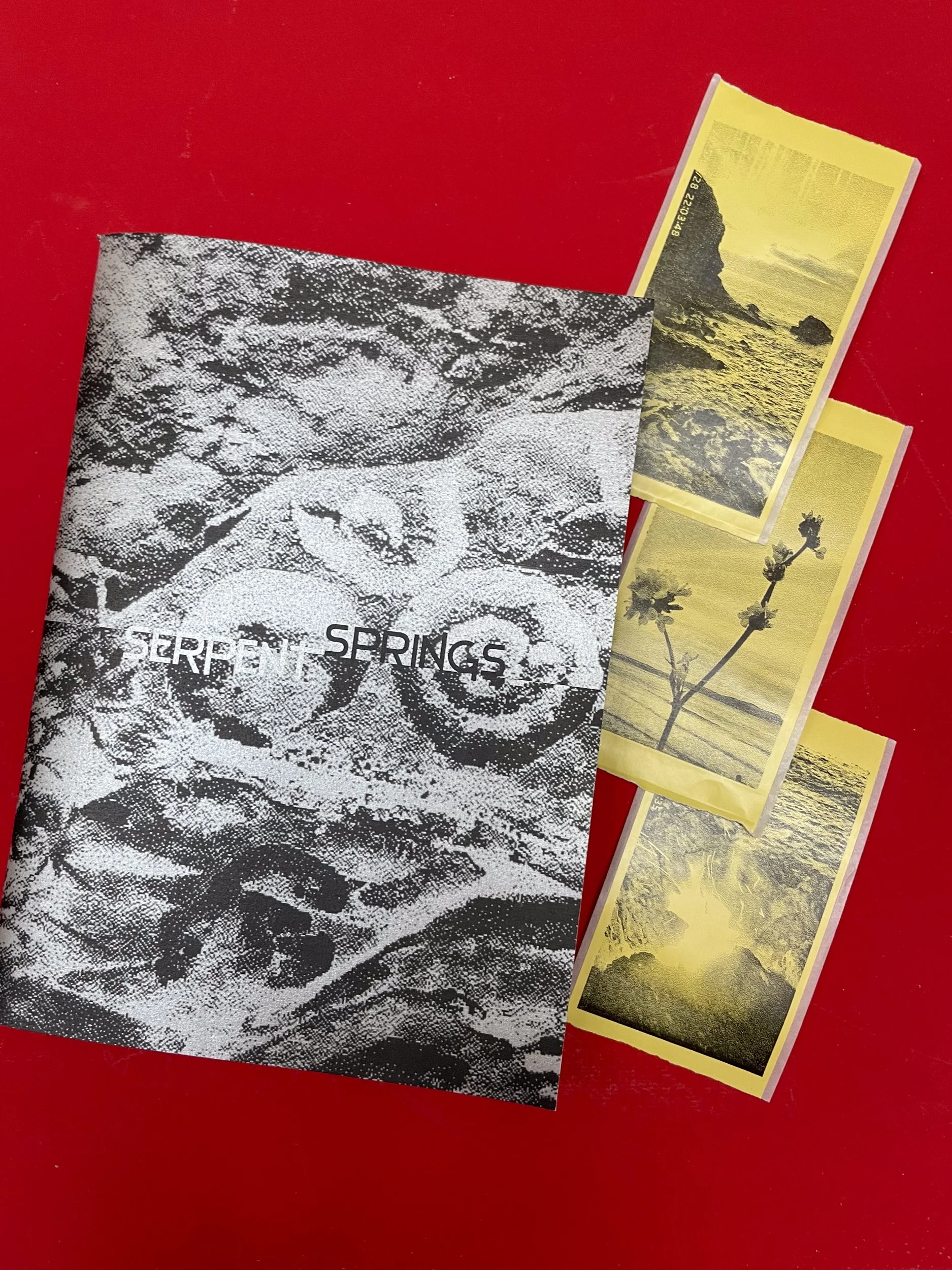 serpent-springs-zine-3.jpg