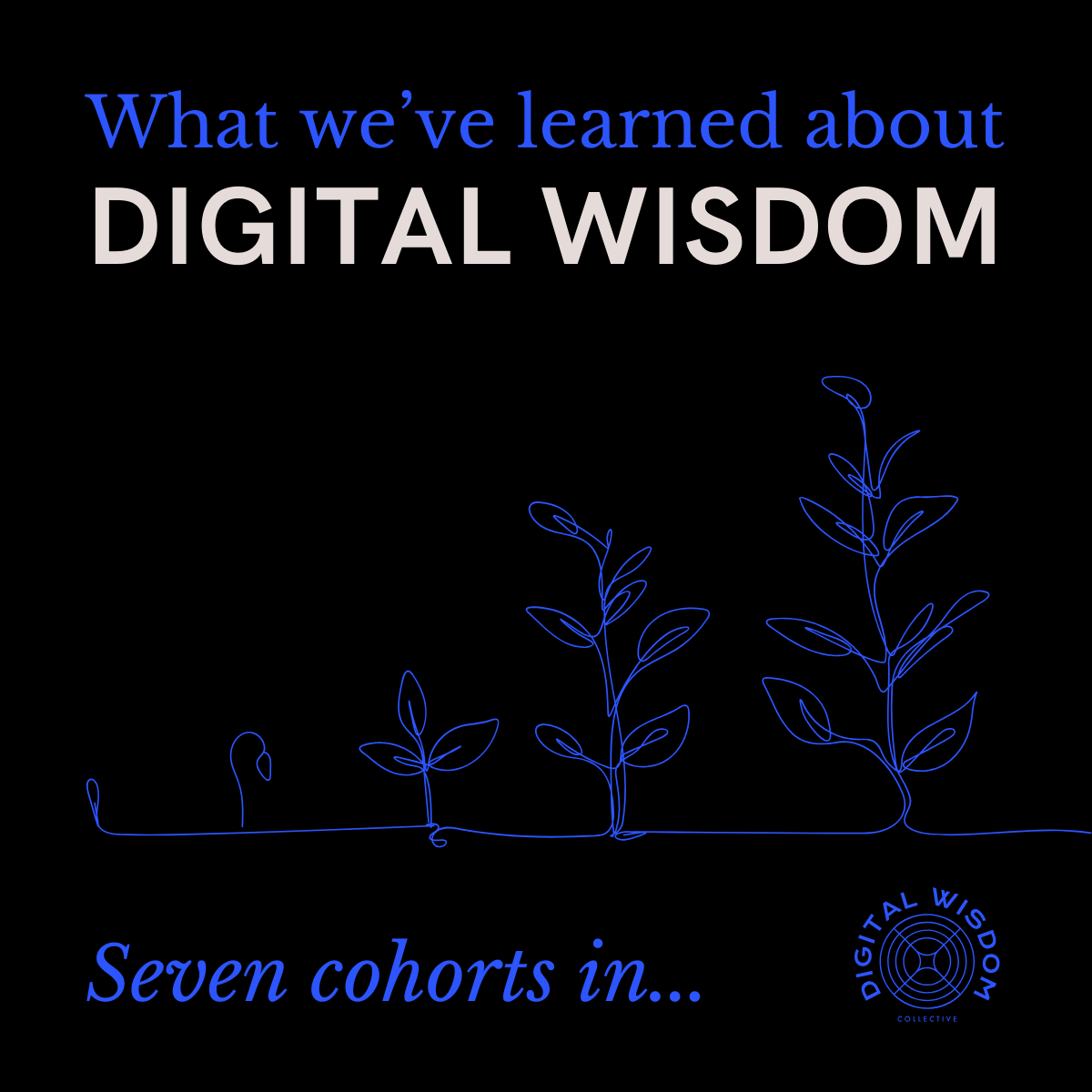 What We’ve Learned About Digital Wisdom, Seven Cohorts In