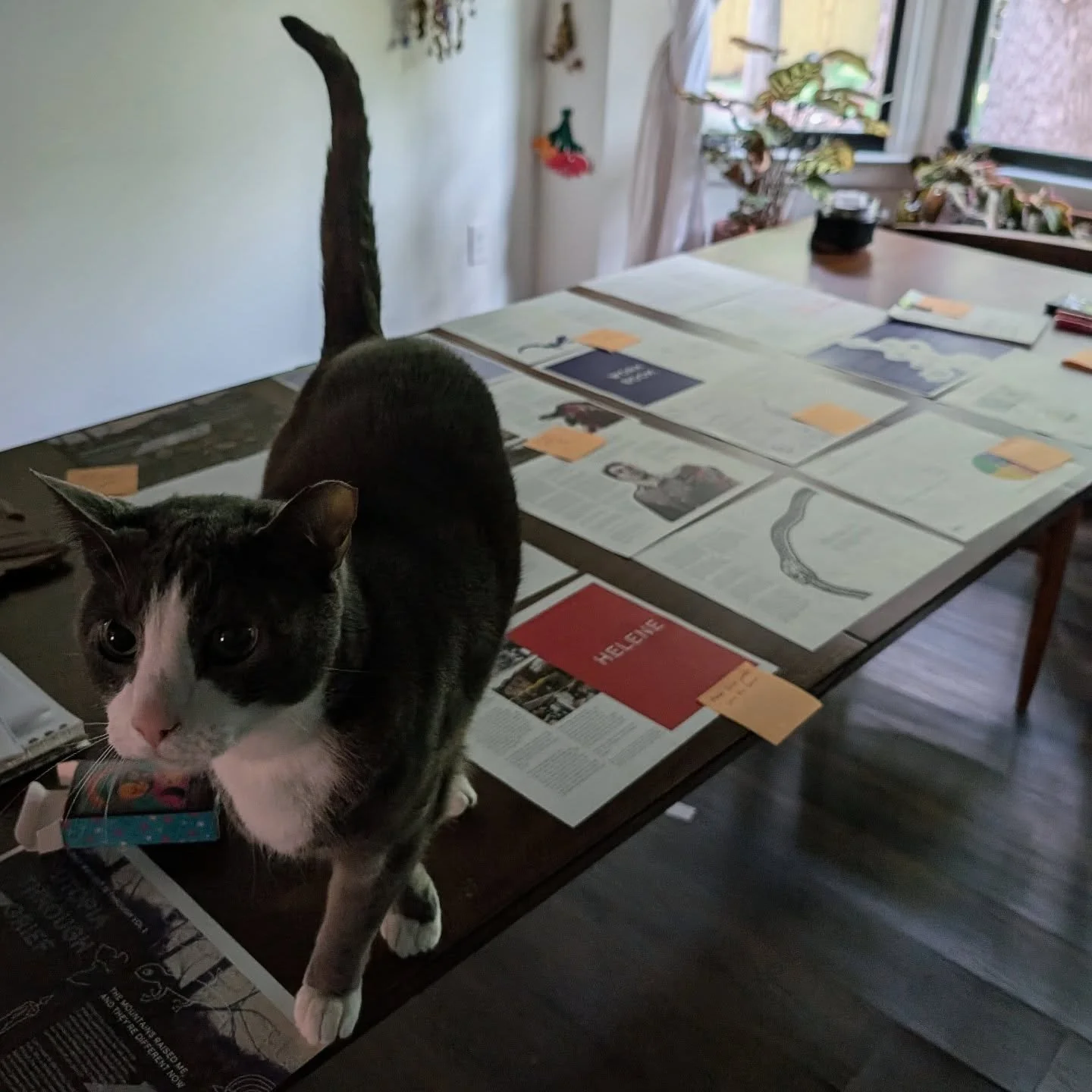 Been busy working on something that's important to me ❤️ More deets to come soon