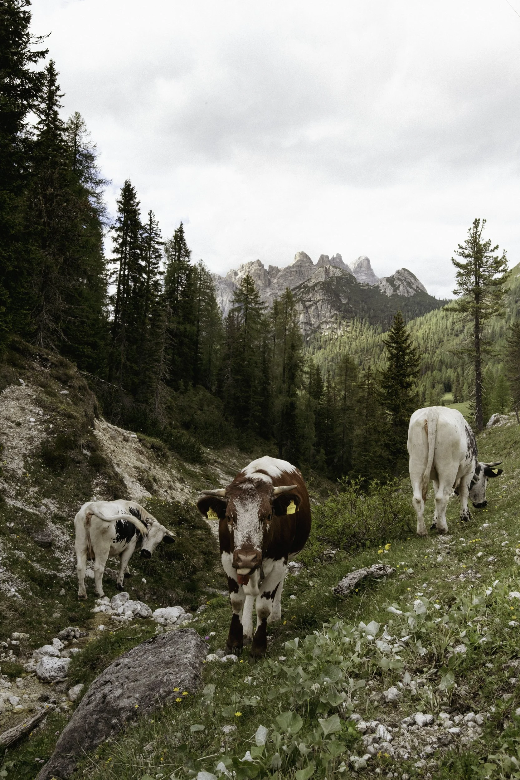 italie_SLPhotographie_2026-6607.jpg