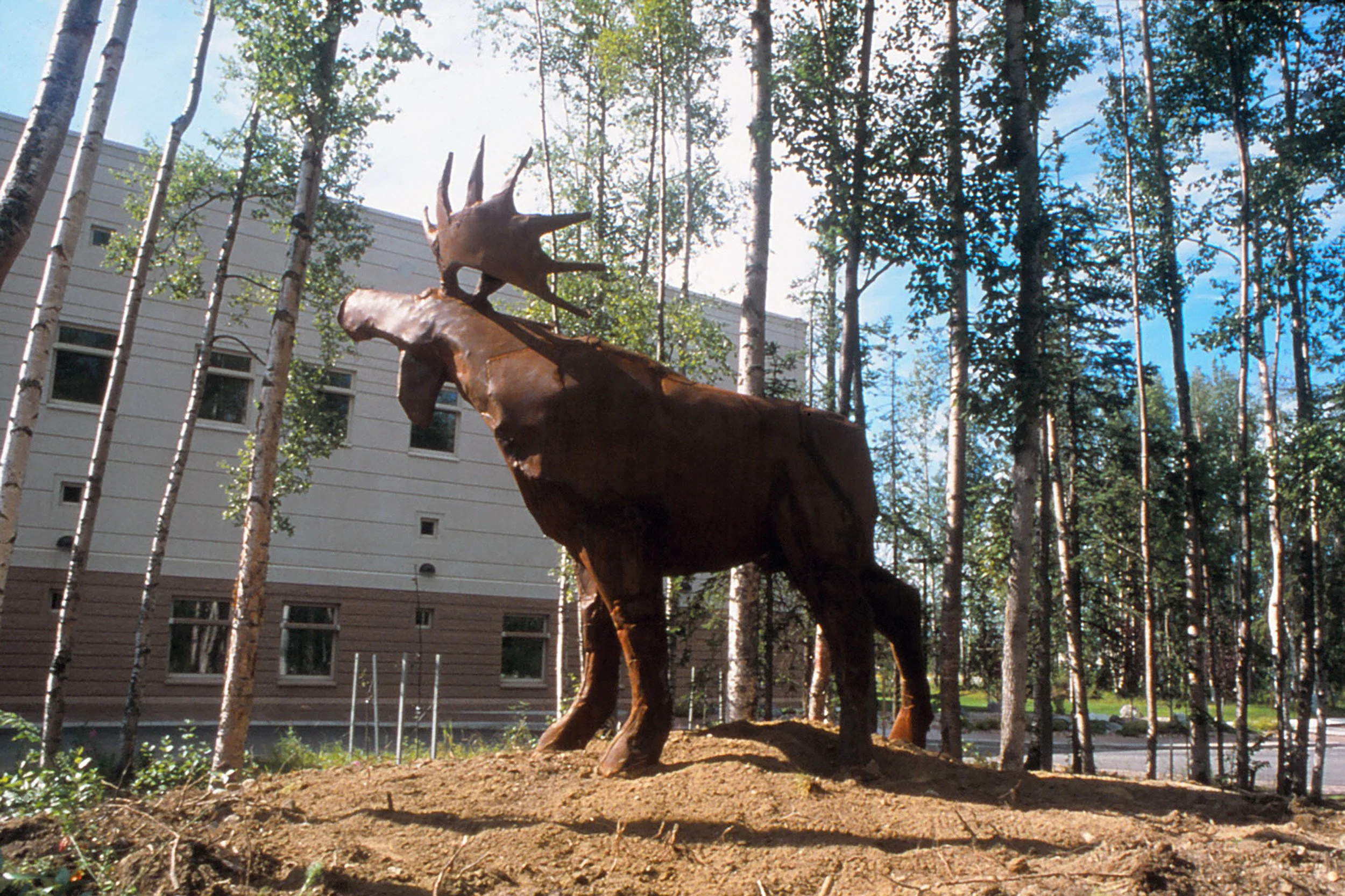 Bull Moose