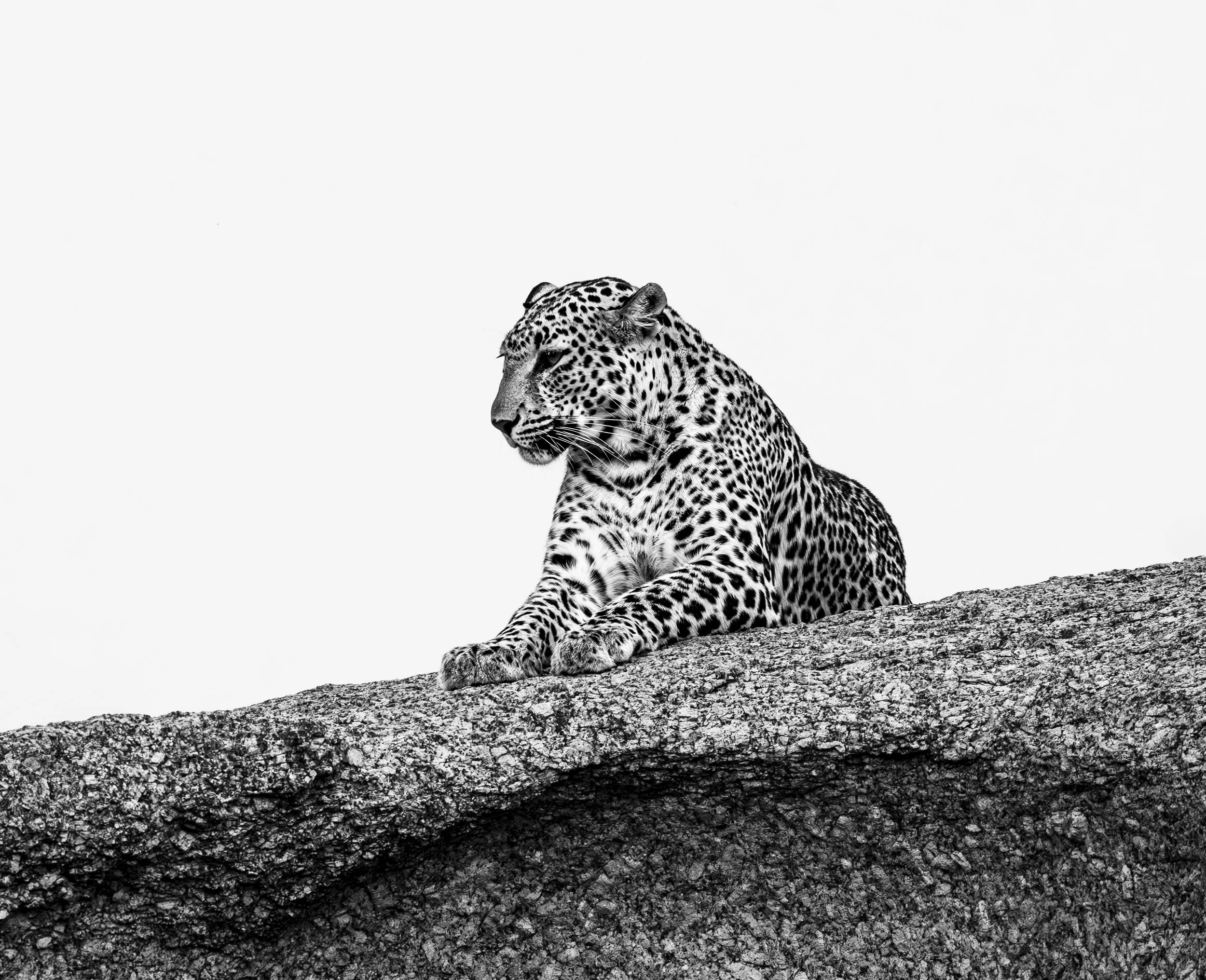 Jamai Day 2 pm-9098.jpg