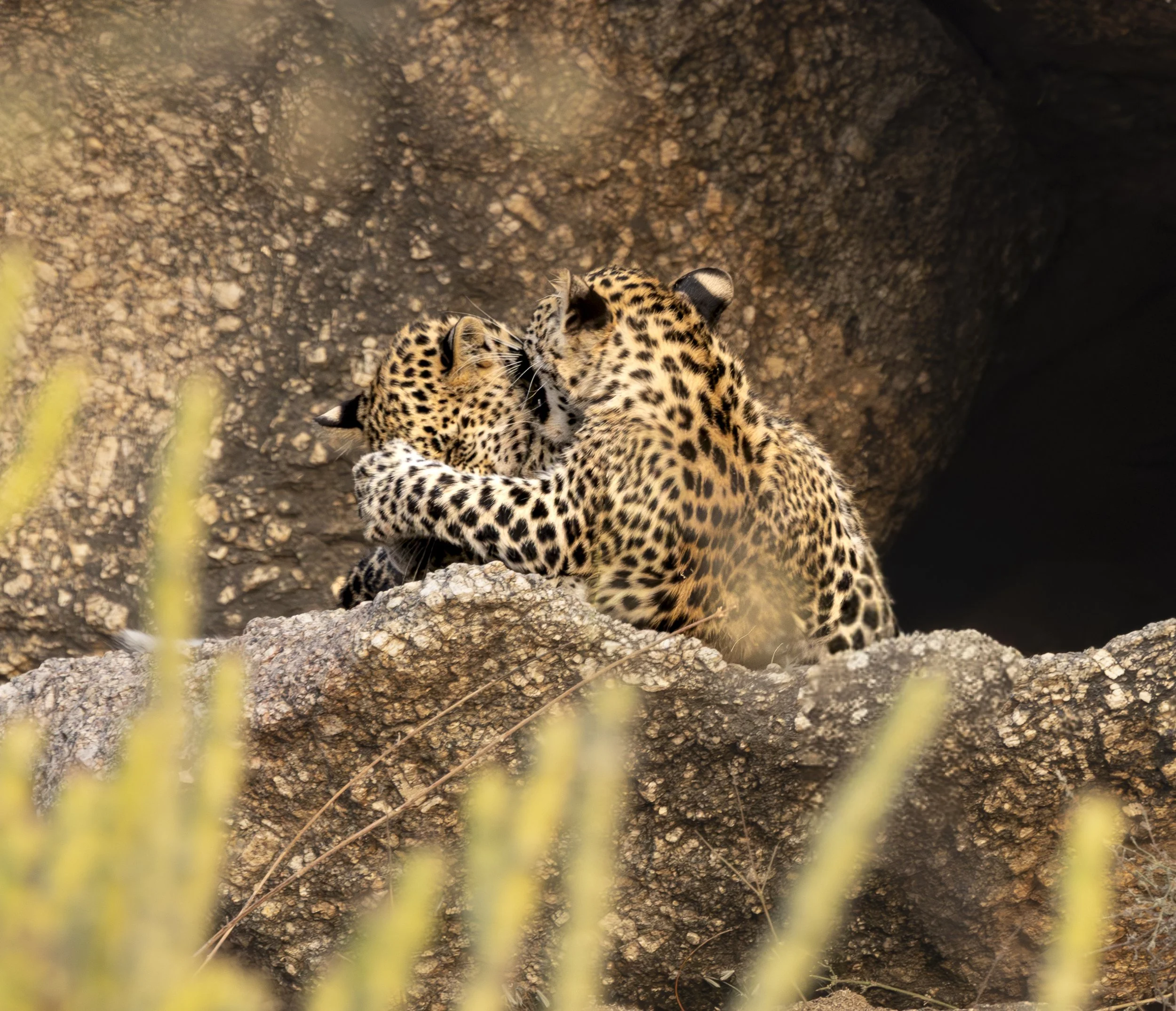 Jamai Day 2 pm-8971.jpg