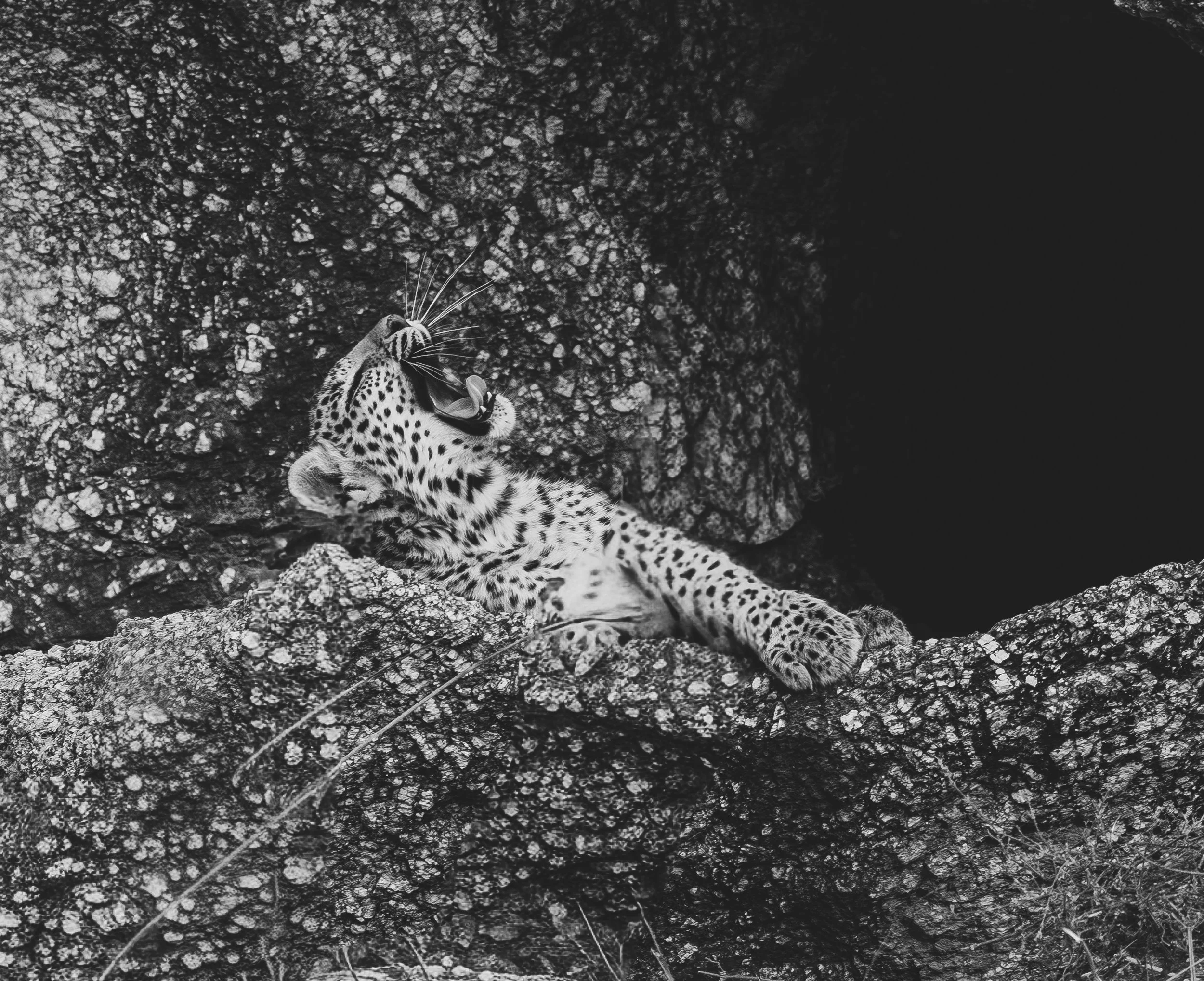 Jamai Day 2 pm-8921.jpg