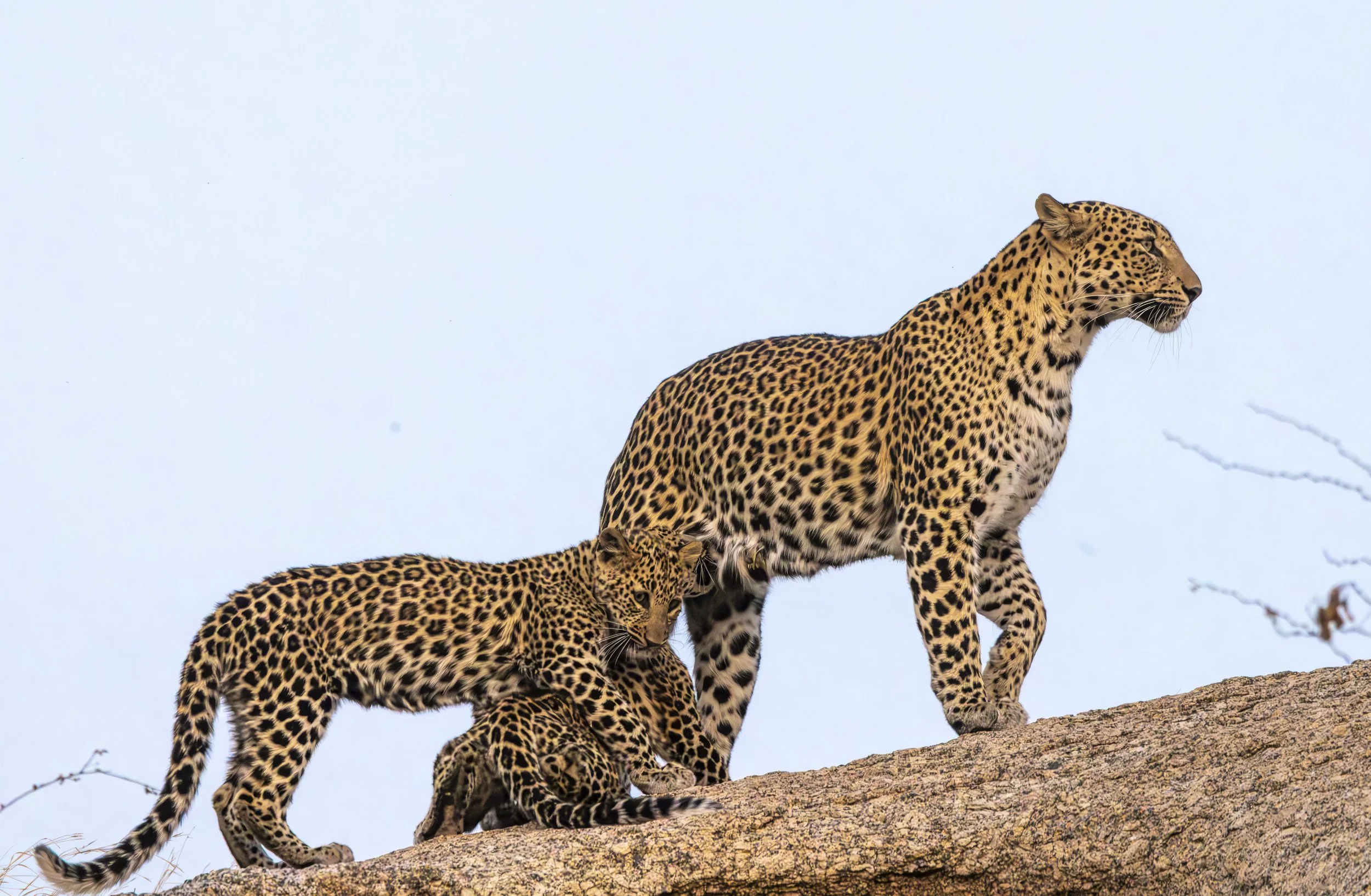 Jamai Day 2 pm-9127.jpg